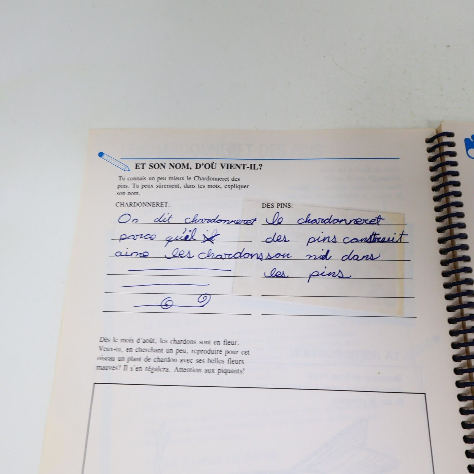 1989 S'Appivoiser aux Oiseaux Suzanne Brûlotte Susy le Brun La Collection Plume