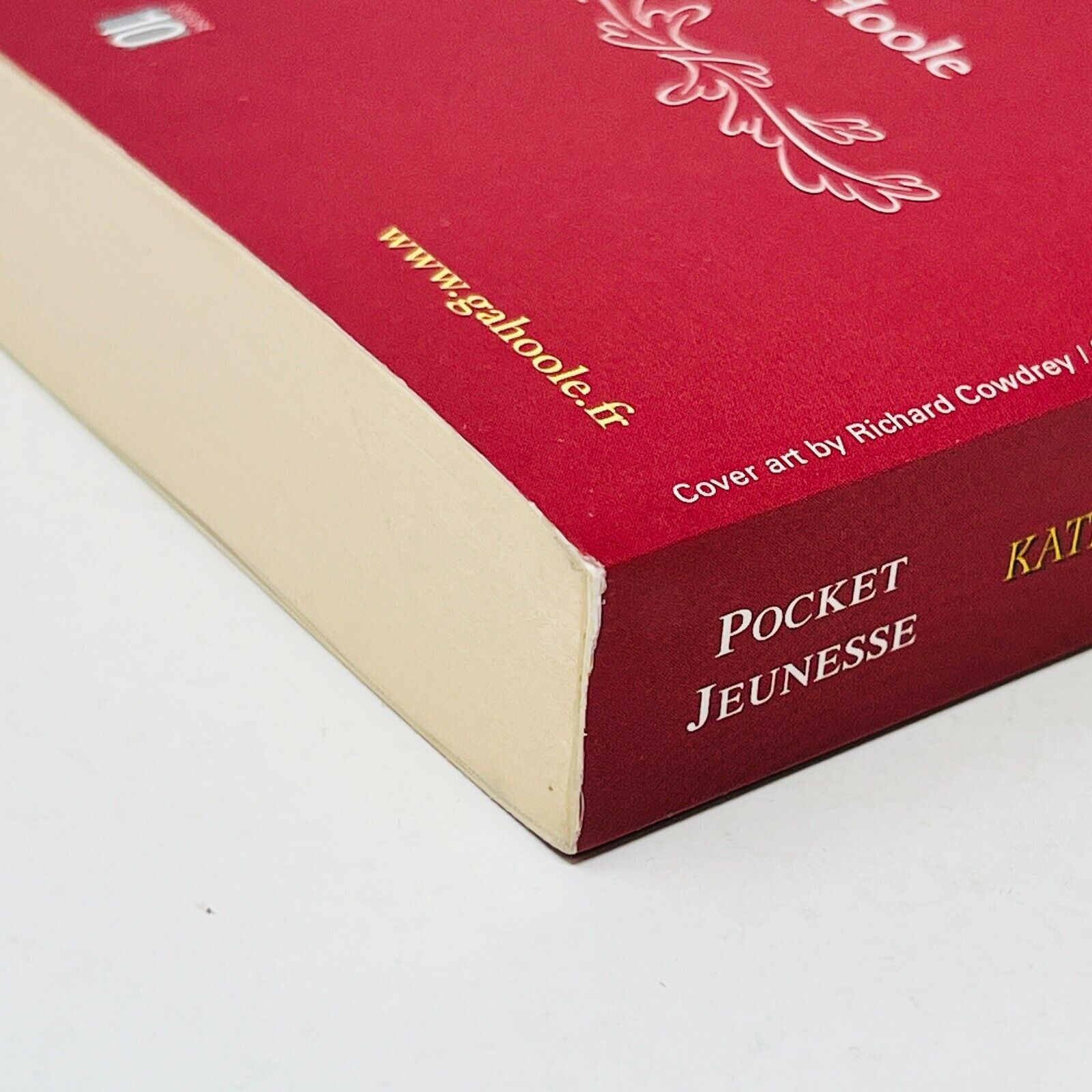 Les Gardiens de Ga'Hoole Tome 11 La Reconquête de Kathryn Lasky Pocket Français