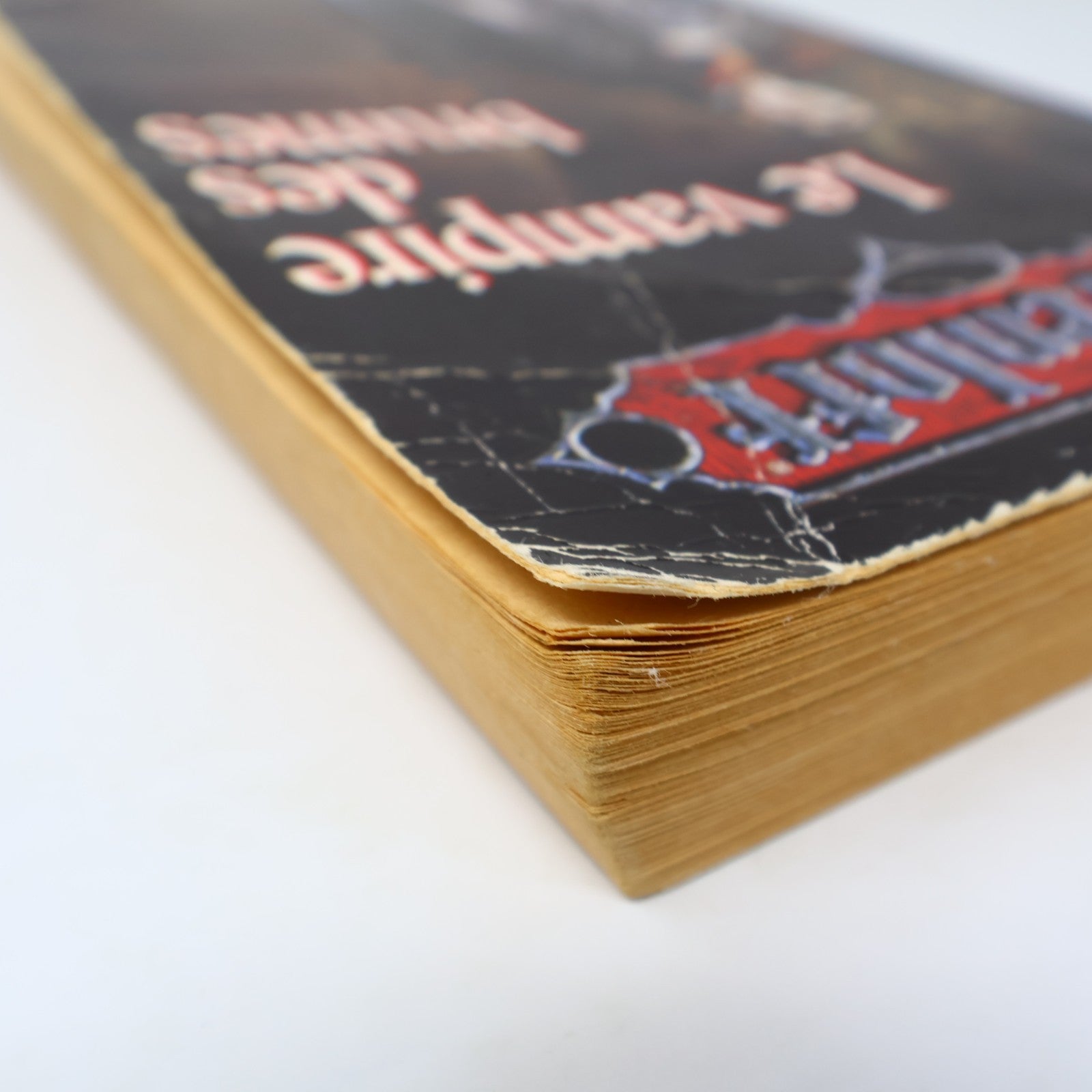 Le Vampire des Brumes Christie Golden Ravenloft #1 Fleuve Noir 1995 PB Français