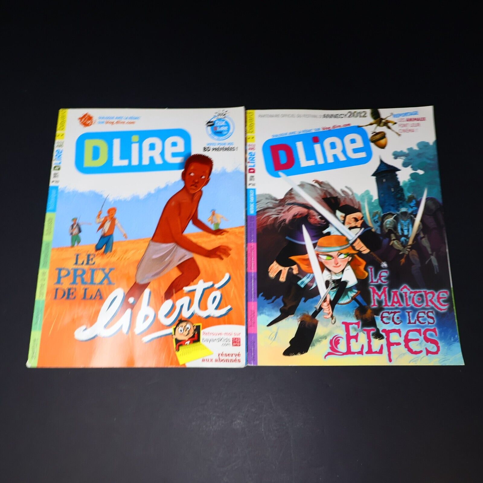 Lot 10 Magazines DLire Enfants Magazine Bayard Le Maître et les Elfes Français