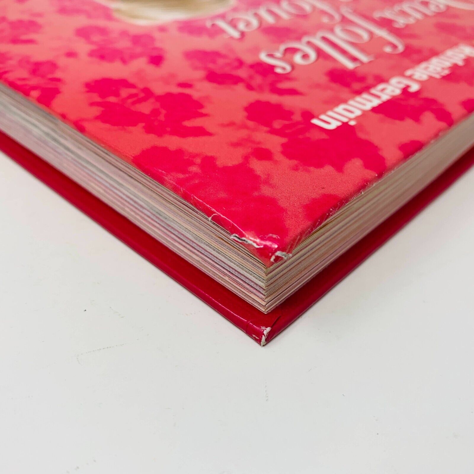 2010 Deux Folles et un Fouet Jessica Barker Raphaële Germain Livre de Recettes