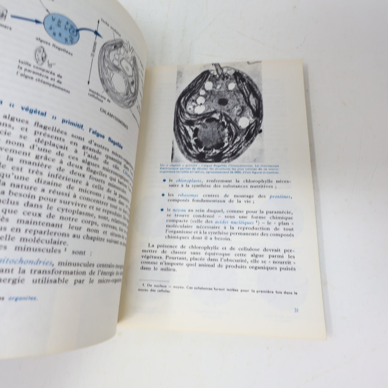 Microcosme Le Rayon de la Science Lot 4 Livres Nuages/Pétrole/Métallurgie/Vie
