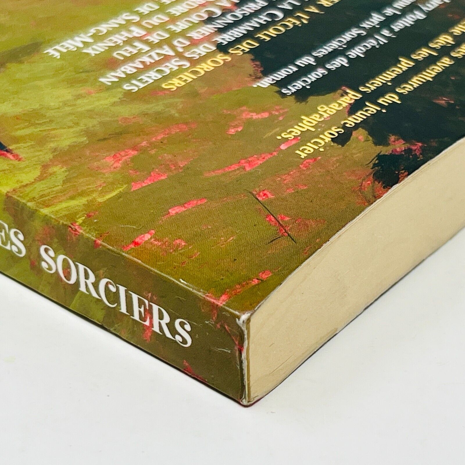 2007 Harry Potter à L'École des Sorciers Gallimard Grand Format Français Rowling