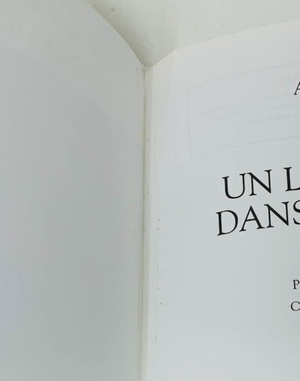 2004 Alys Robi Un Long Cri dans la Nuit Livre Edimag Biographie Chanteuse French