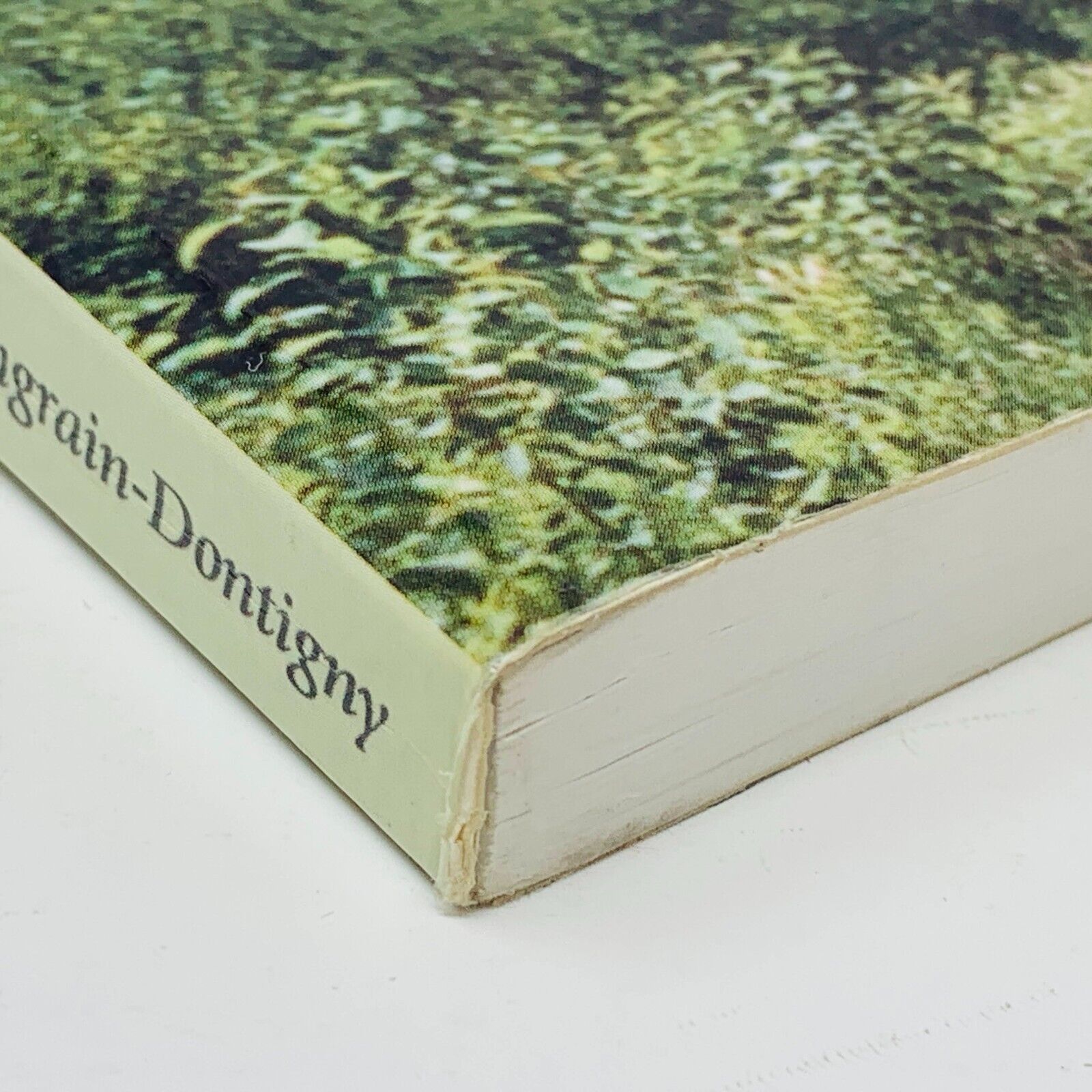 2003 La Cuisine Traditionnelle de Charlevoix M. Mongrain-Dontigny Livre Recettes