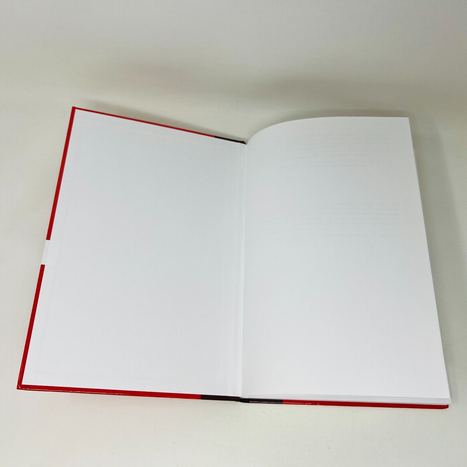 2010 Acceptance and Commitment Therapy for Body Image Dissatisfaction Hardcover