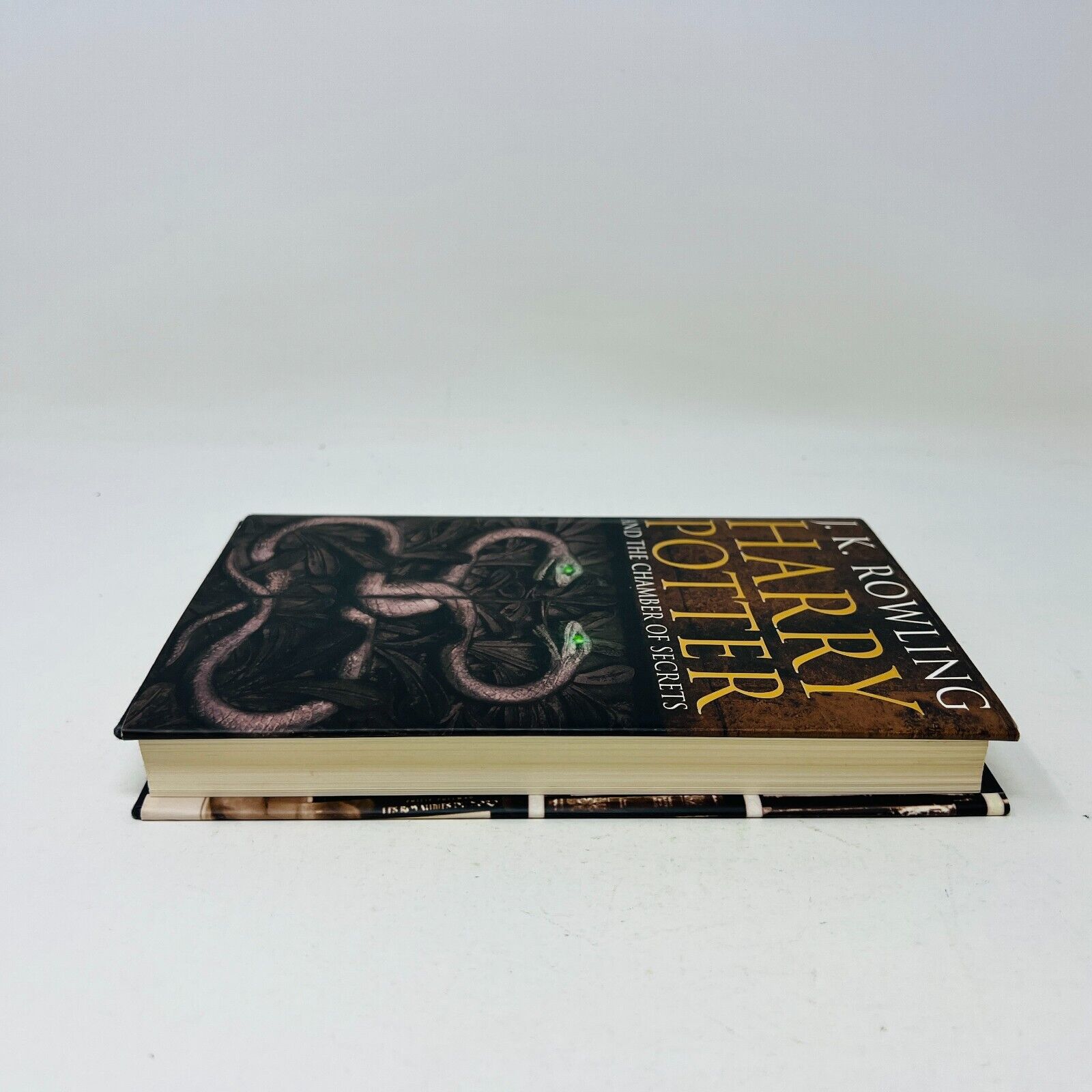 Harry Potter and the Chamber of Secrets Rowling Raincoast Black Cover 1st Print