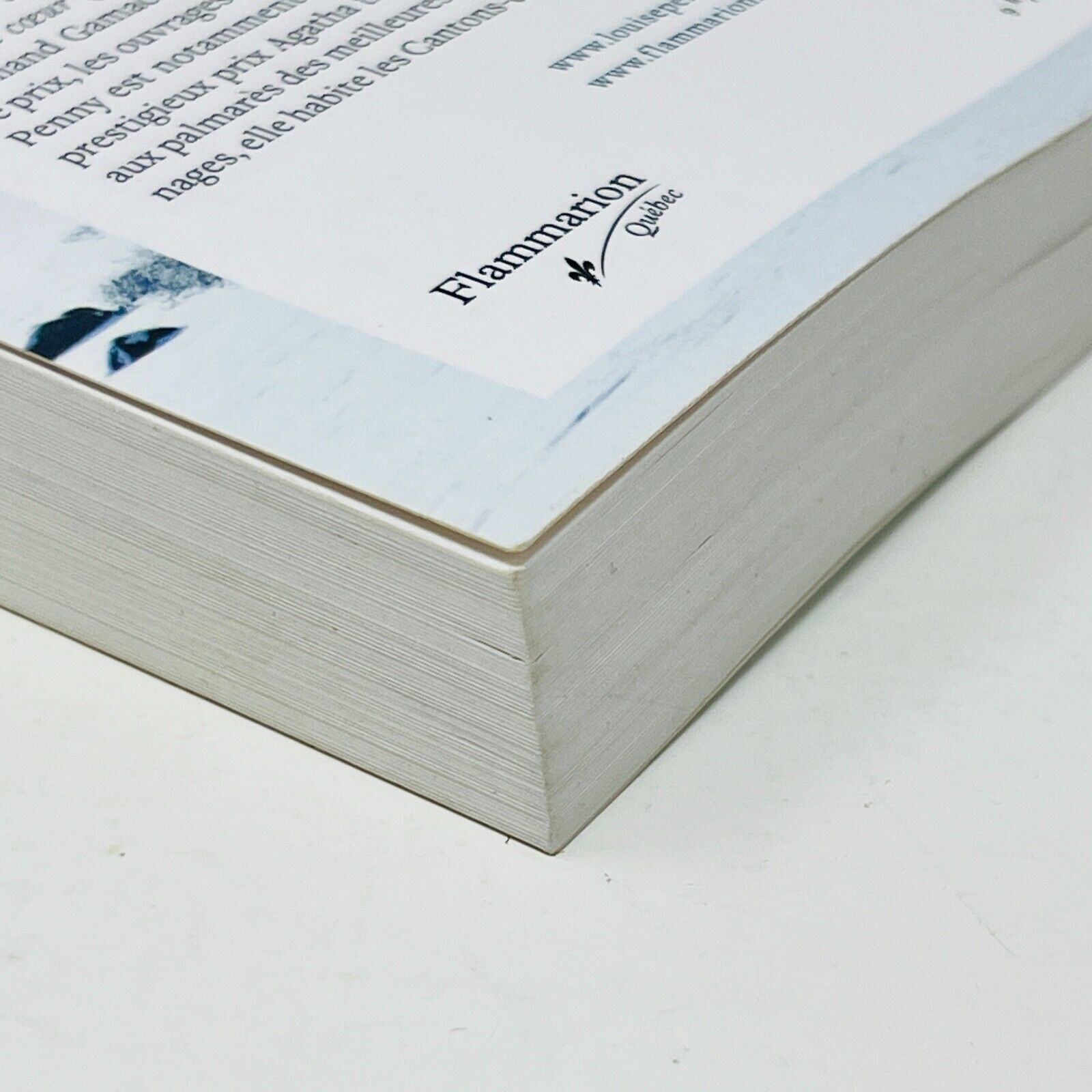 2011 Sous la glace de Louise Penny Armand Gamache Enquête Flammarion en Français