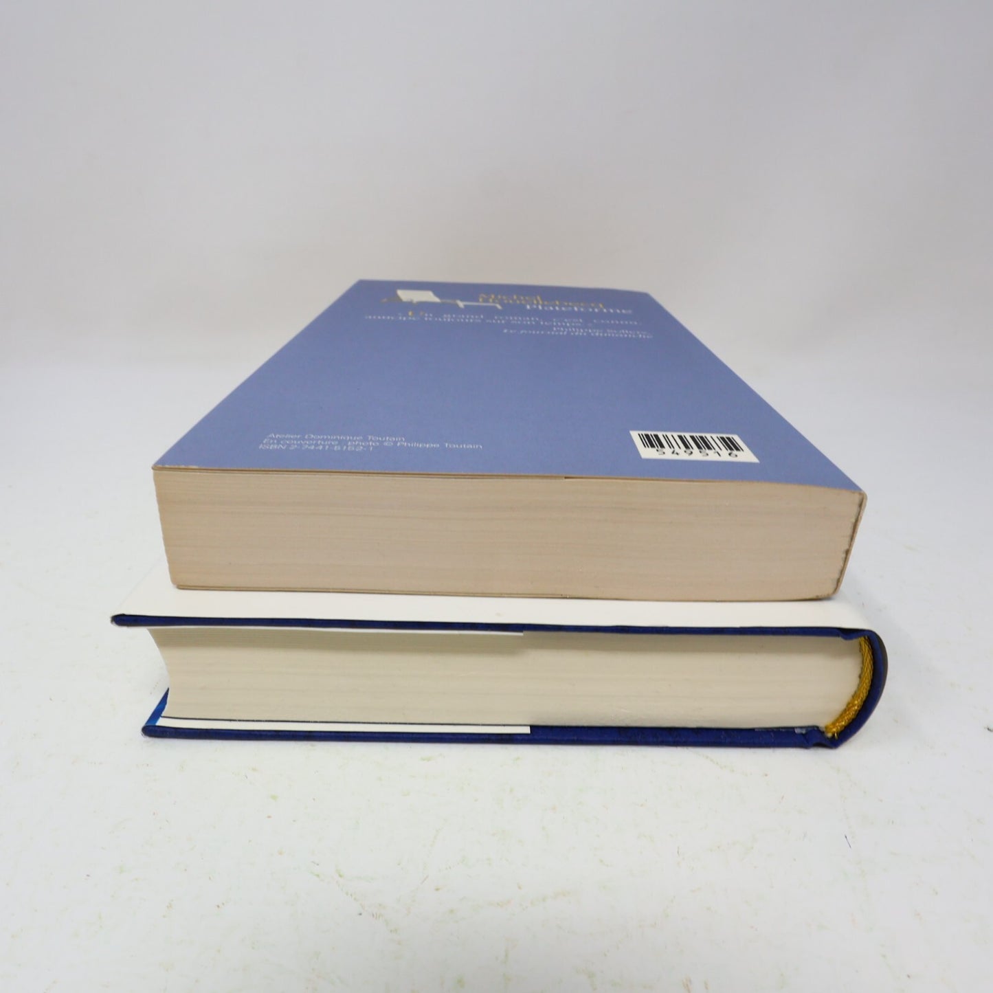 Michel Houellebecq Lot 2 Livres Les Particules Élémentaires/Plateforme Français
