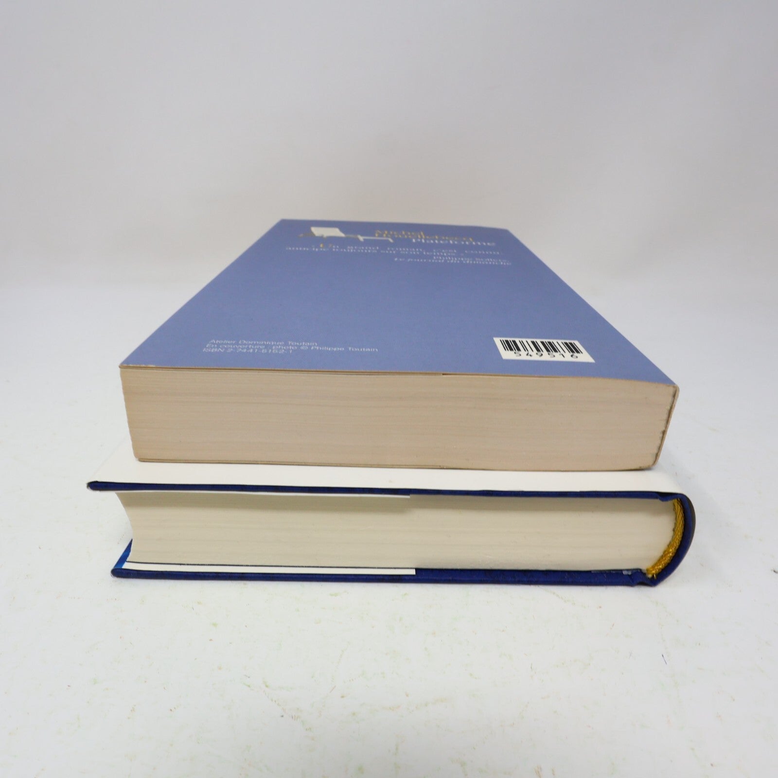 Michel Houellebecq Lot 2 Livres Les Particules Élémentaires/Plateforme Français
