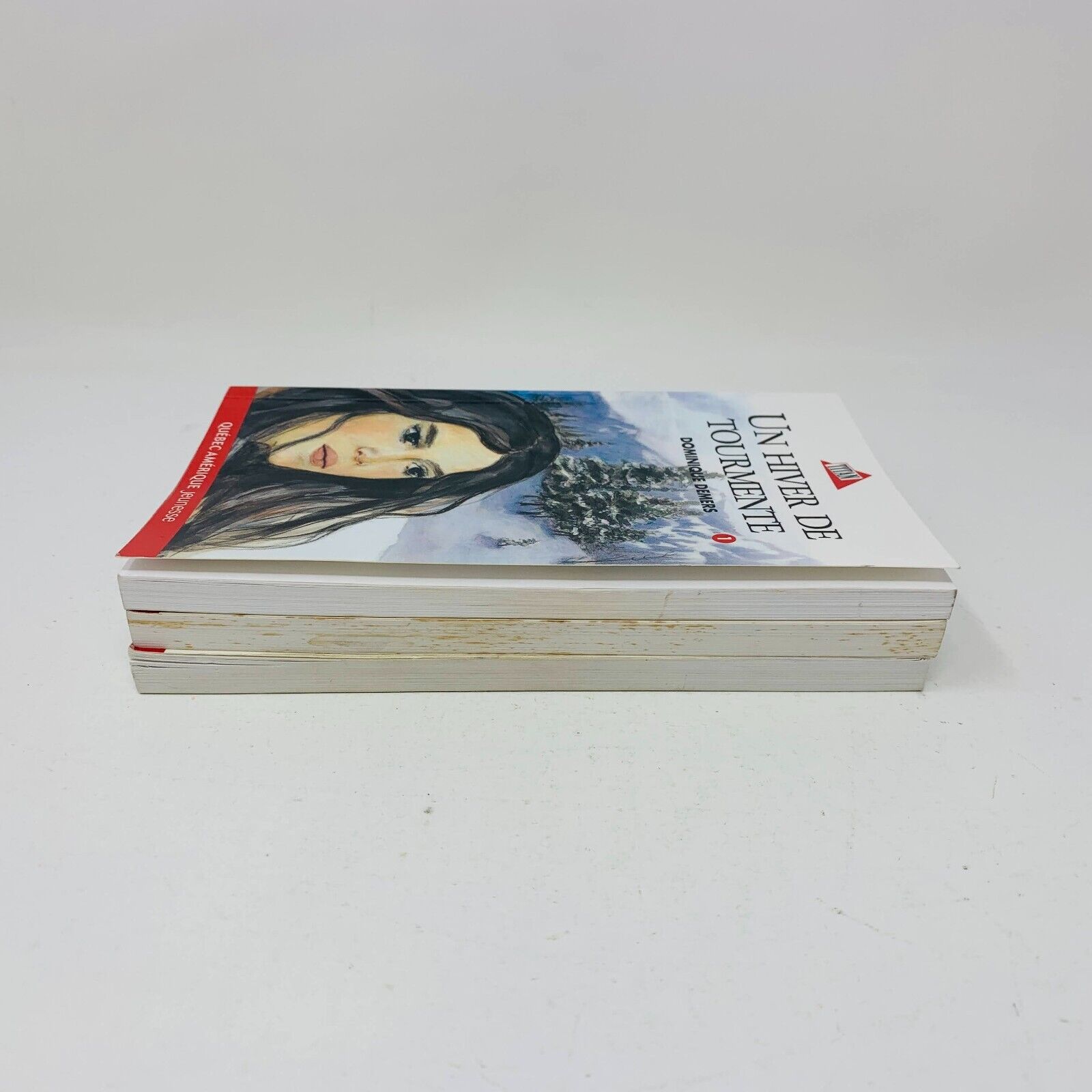 3x Marie-Tempête Série Complète Titan Jeunesse Dominique Demers Lot 3 Livres 90s