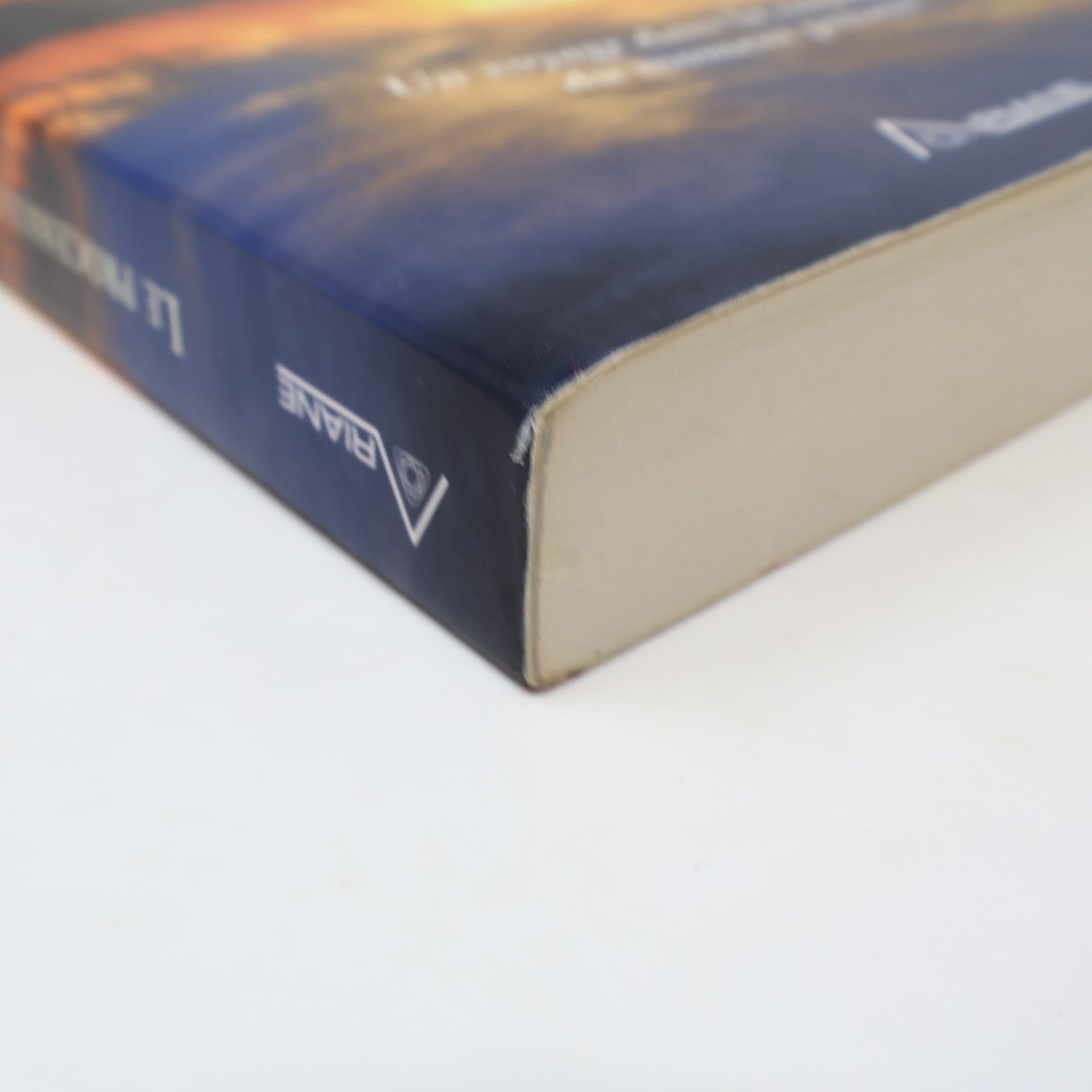 Le Processus de la Présence Michael Brown Ariane 2012 PB Français French Livre