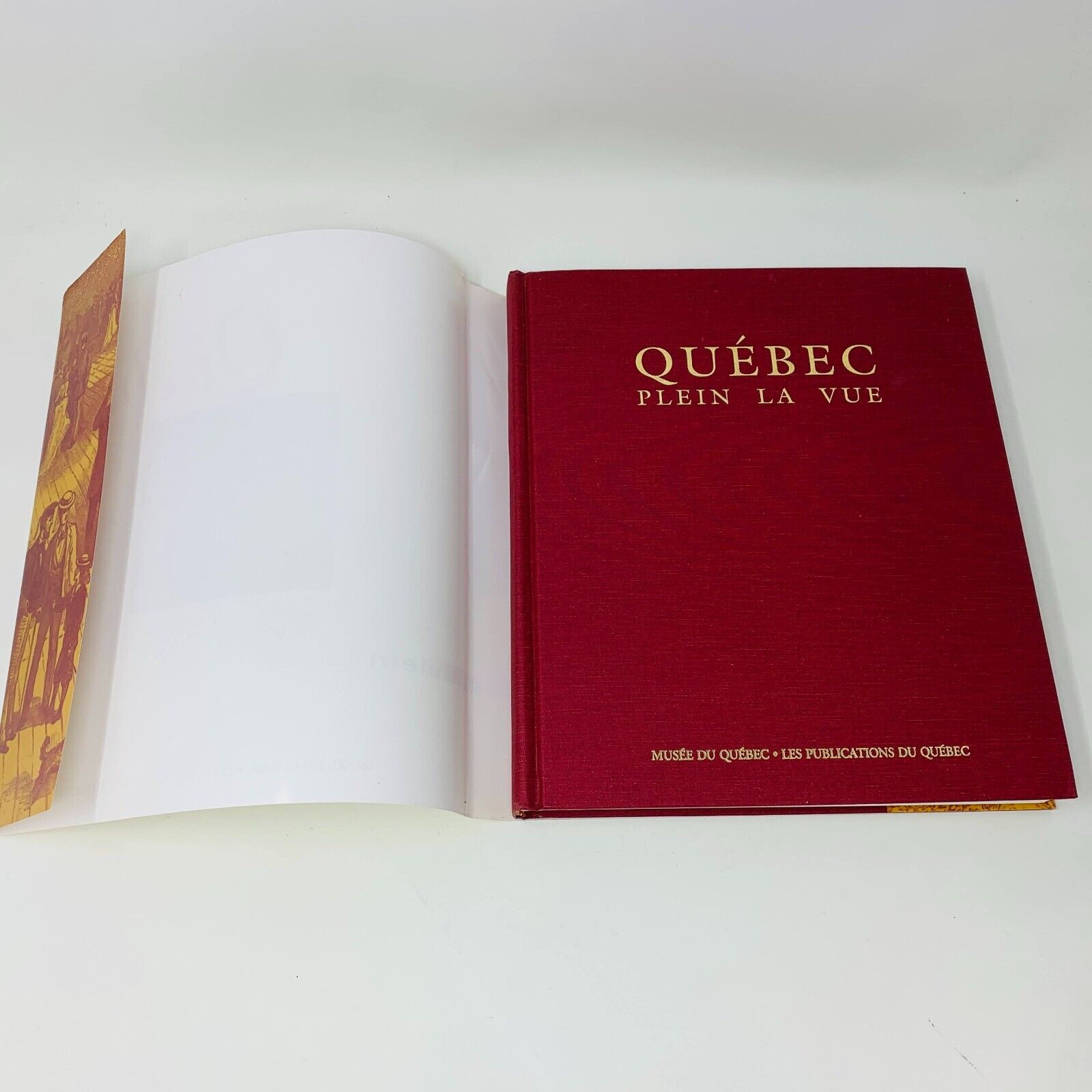 Coffret de Livres Musée du Québec Exposition "Plein la Vue" & "Passions d'Hiver"