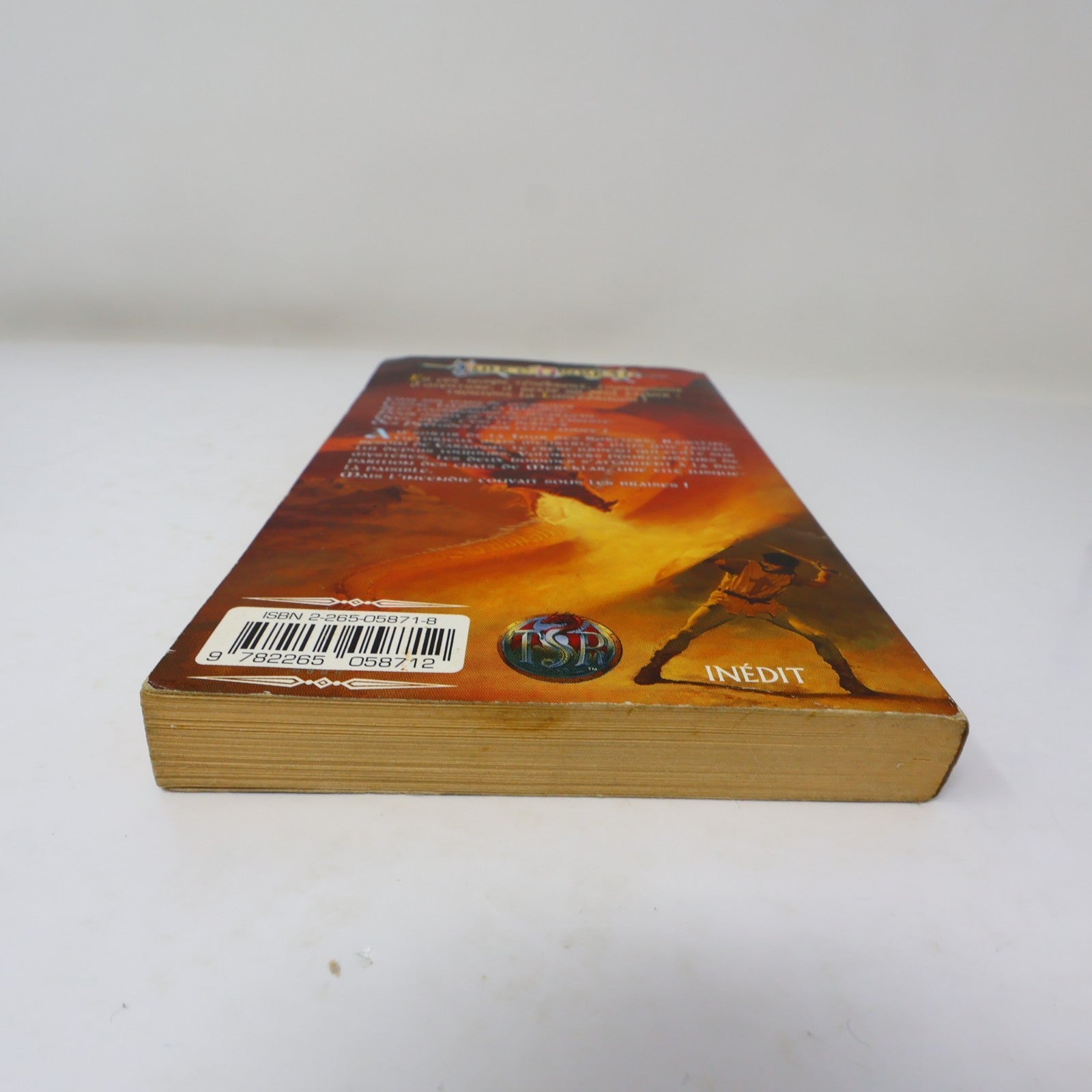 Les Frères Majere Kevin Stein La Trilogie des Préludes #9 LanceDragon 1996 PB