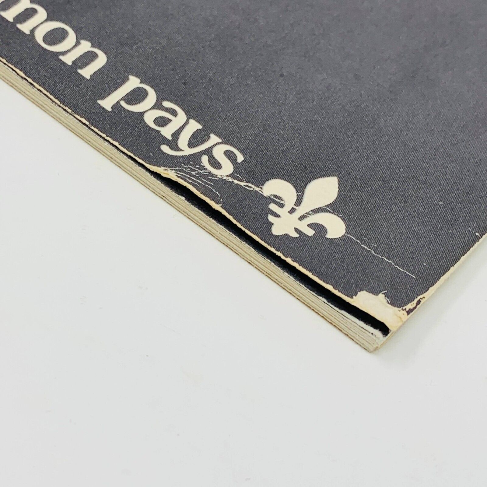 1979 Claude Dubois Partitions Songbook Chant de Mon Pays Piano Guitar Québécois
