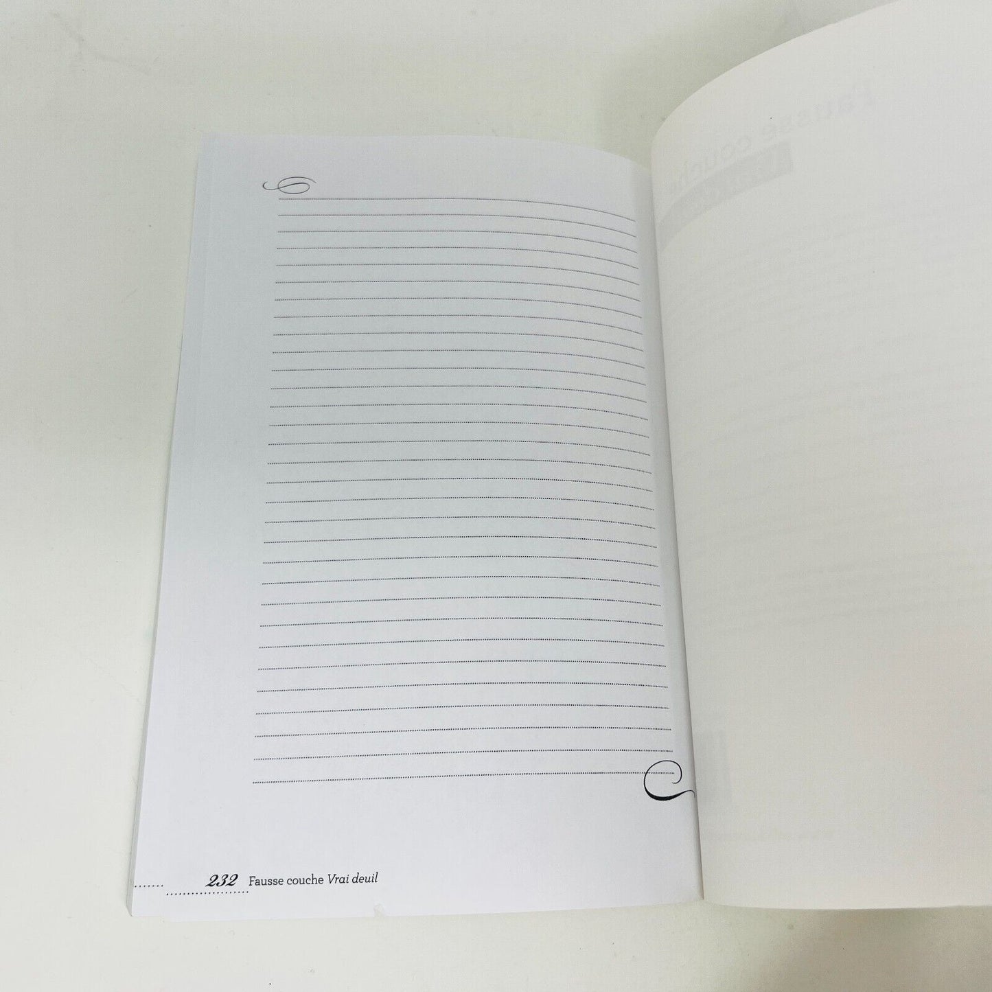 2013 Fausse Couche Vrai Deuil Clément/Cyr Psychologie Conseils Français Livre PB
