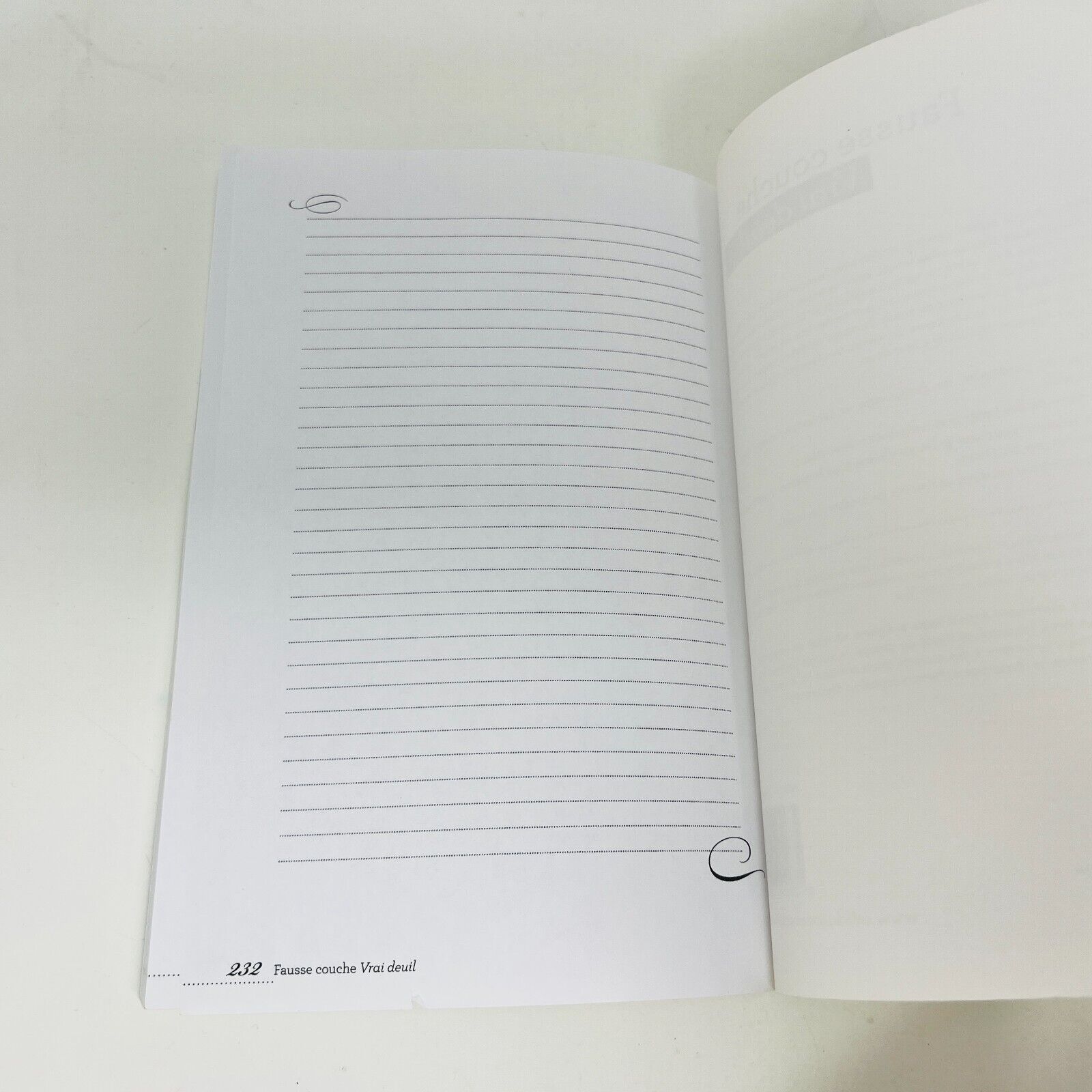 2013 Fausse Couche Vrai Deuil Clément/Cyr Psychologie Conseils Français Livre PB