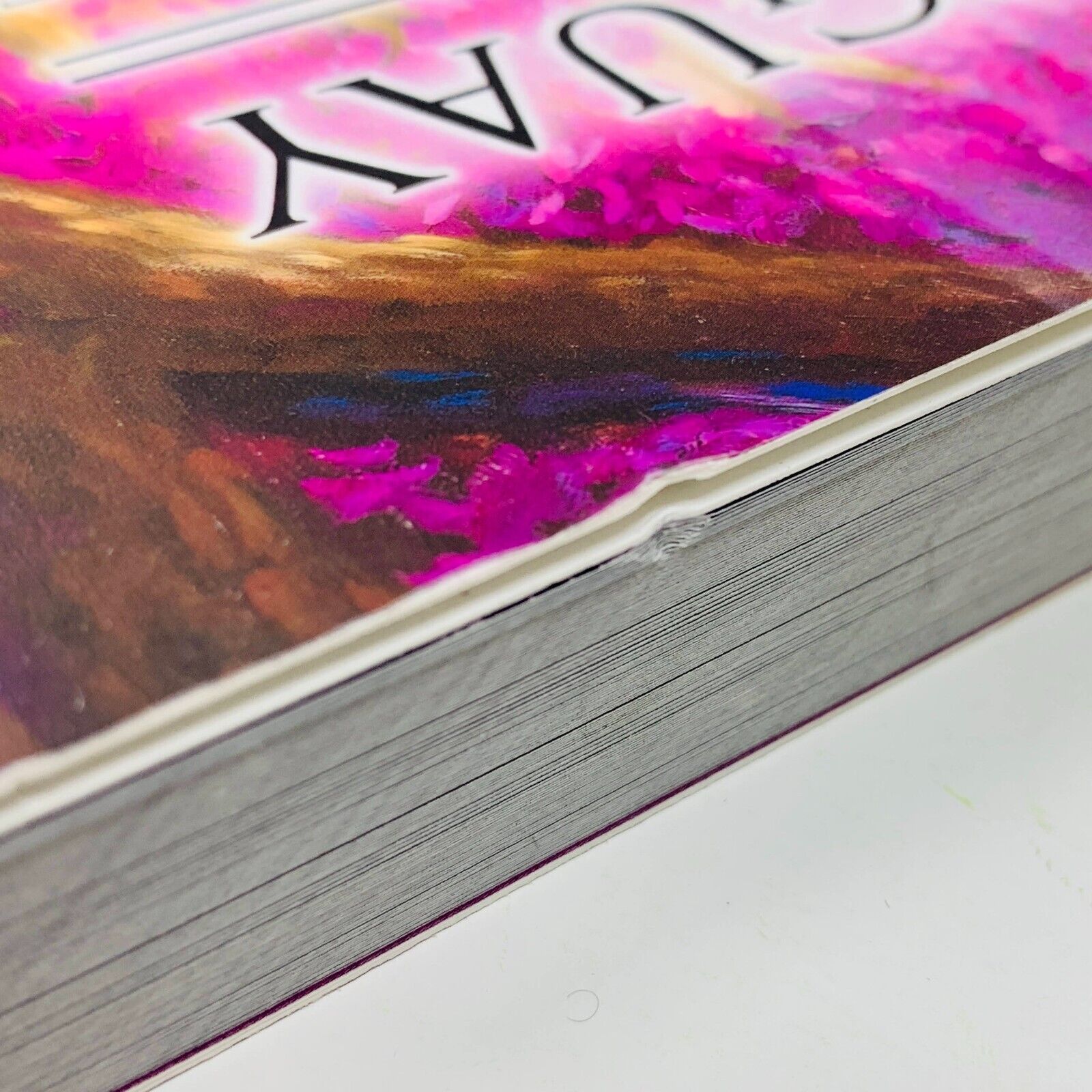 2012 Mario Duguay De l'Ombre à la Lumière Illustrations Peintures Français Livre