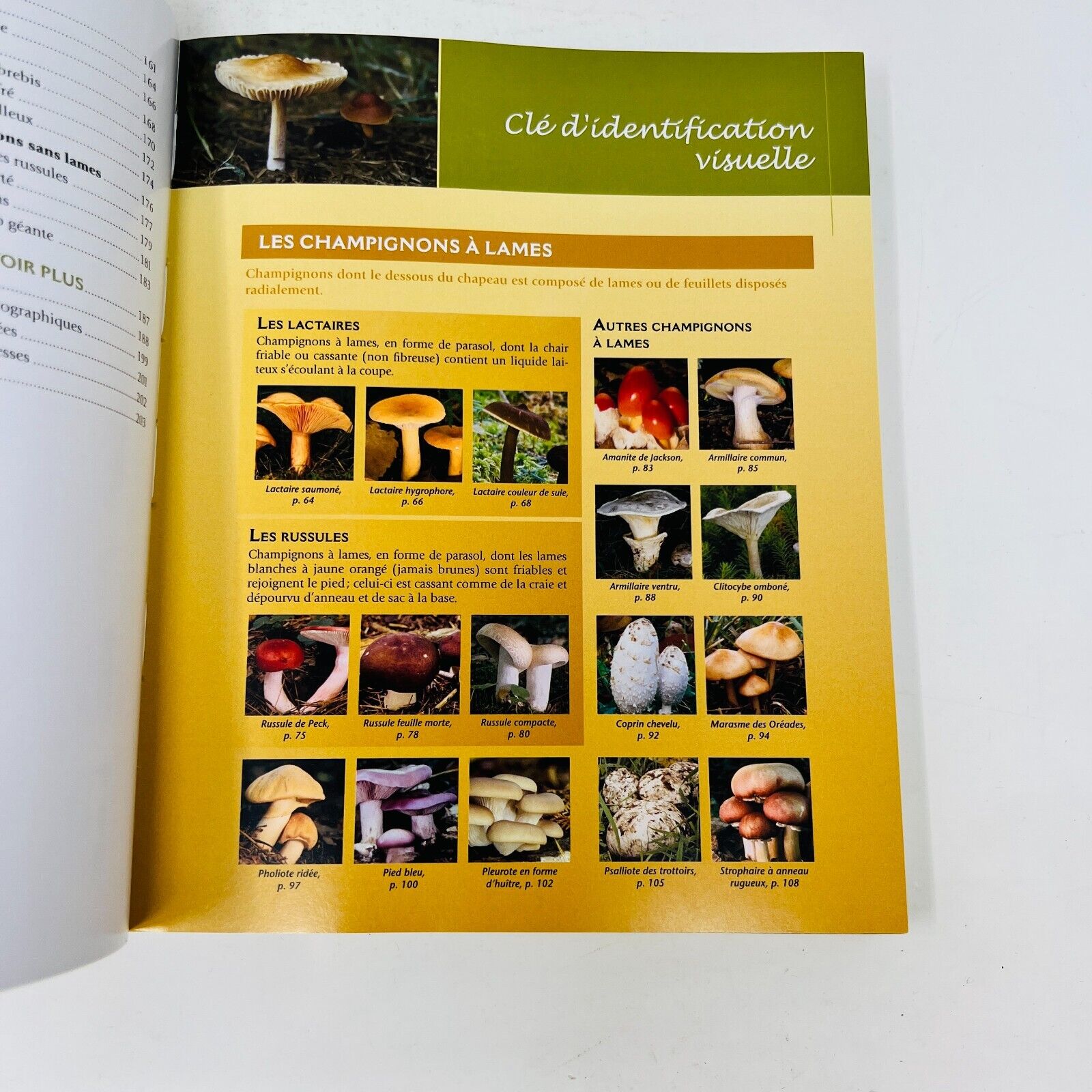2008 Champignons Comestibles du Québec de Jean Després Français Identification
