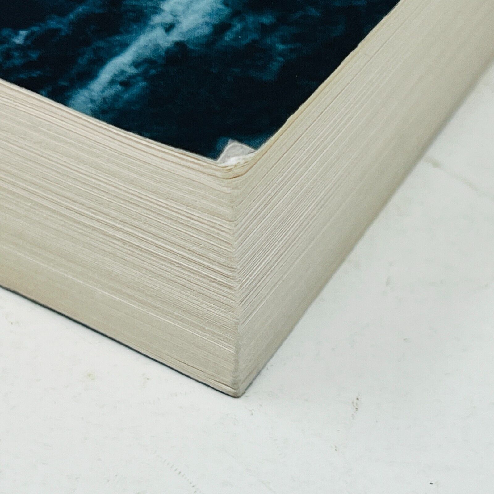 À l'Aube des Ténèbres Les Gardiens Immortels Tome 1 de Dianne Duval Français Ada