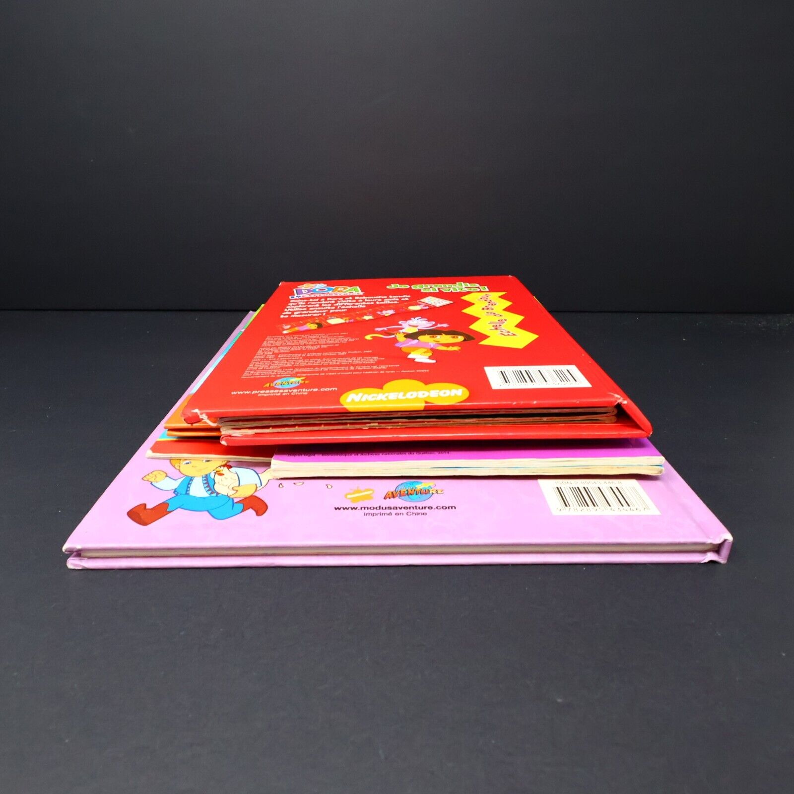 Lot 6 Livres Dora l'Exploratrice Français French Enfants Le Pique-Nique de Dora