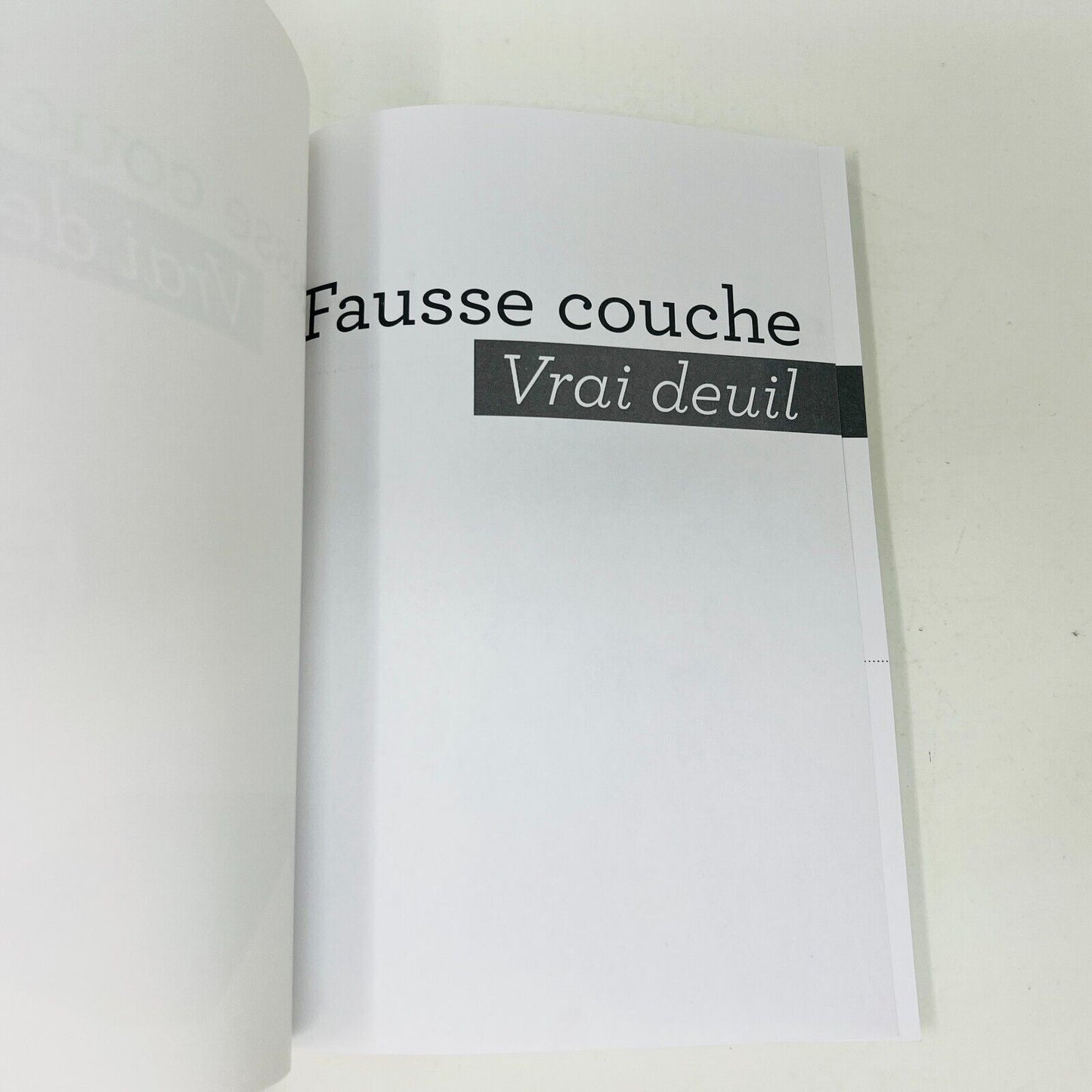 2013 Fausse Couche Vrai Deuil Clément/Cyr Psychologie Conseils Français Livre PB