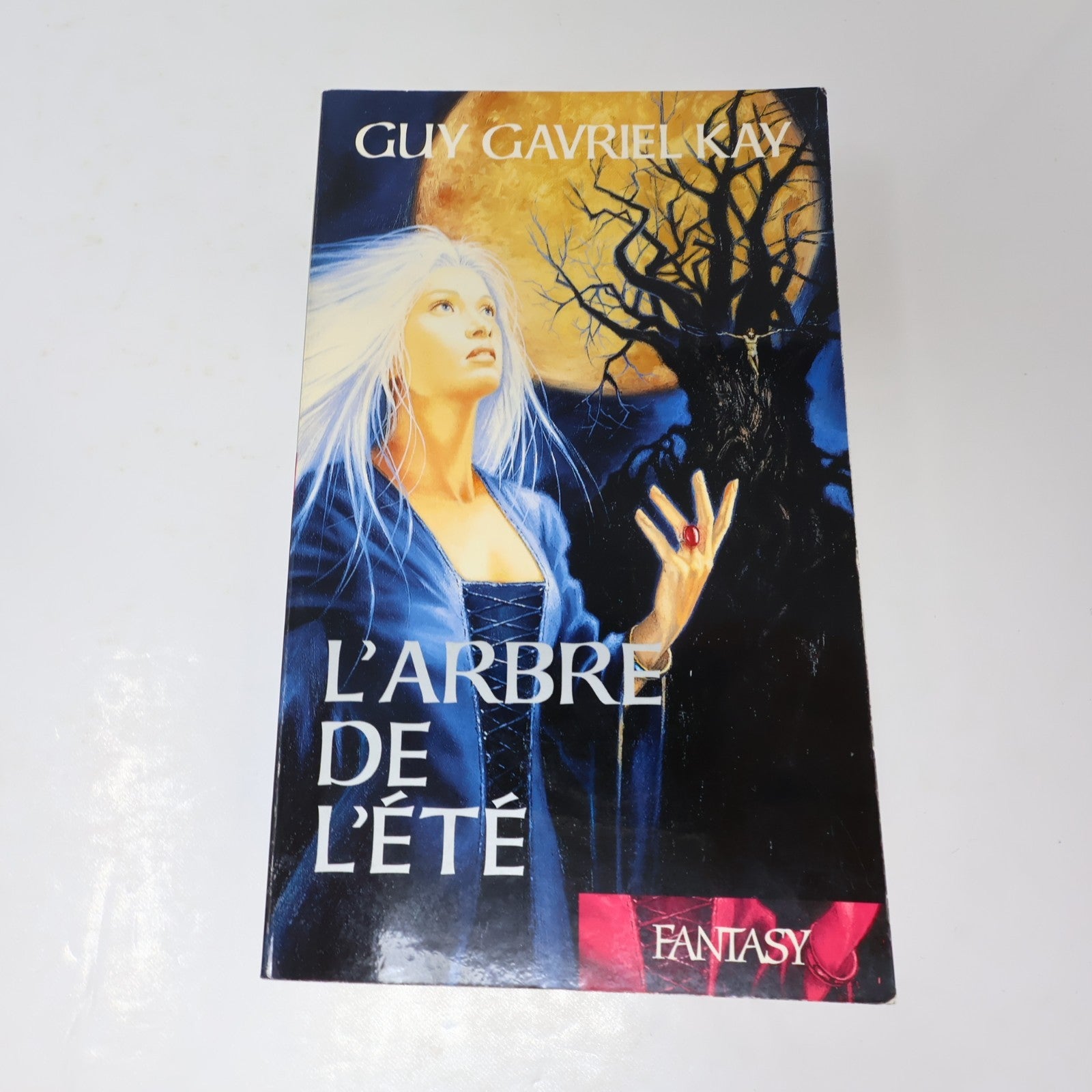 La Tapisserie de Fionavar #1-3 Série Complète Lot 3 Livres Guy Gavriel Kay PB