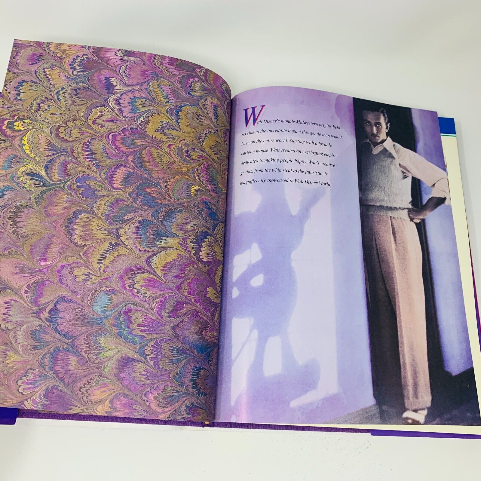 c1990s Walt Disney World Disney's Kingdom Editions Purple Theme Parks Hardcover