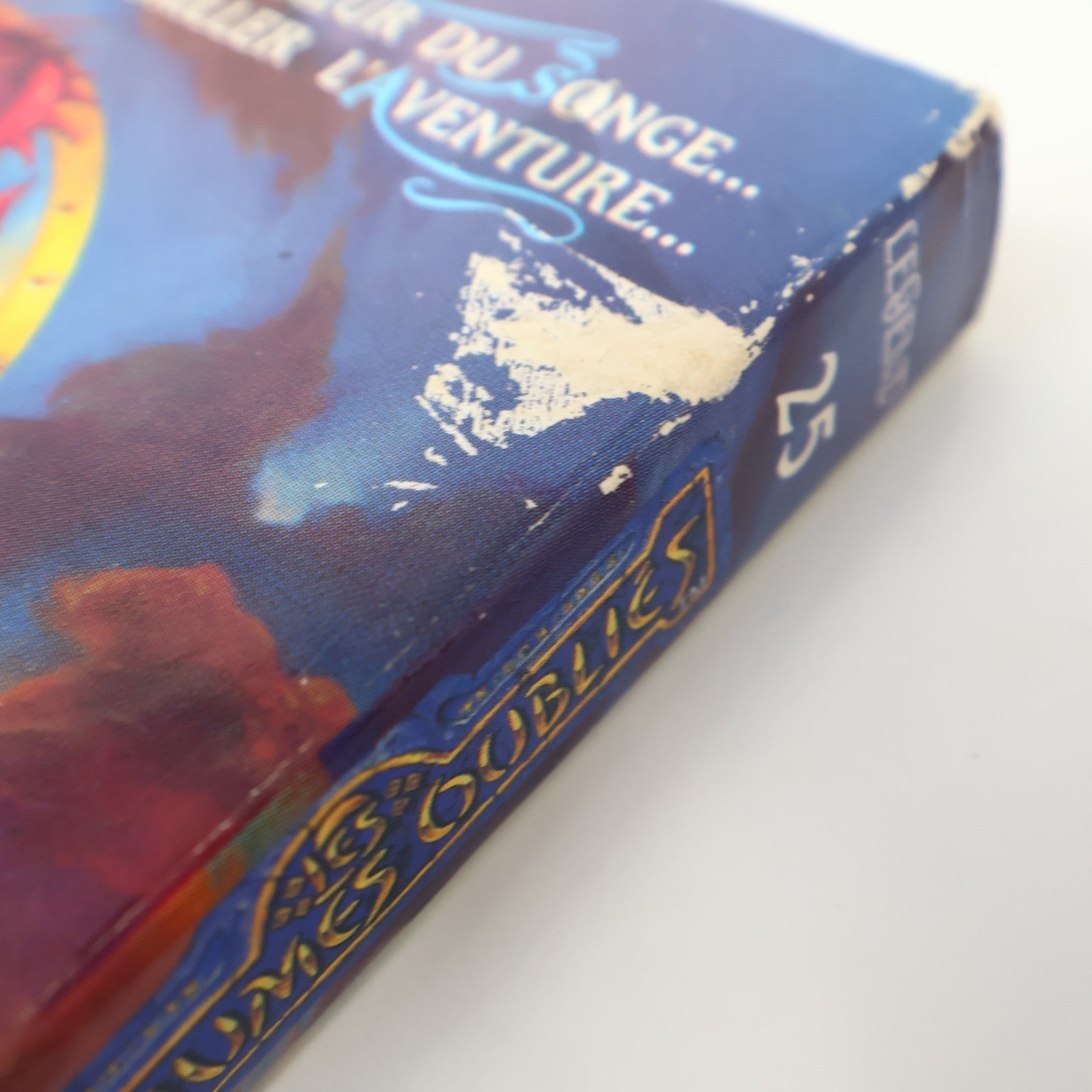 Royaumes Oubliés #25 La Pentalogie du Clerc La Forteresse Déchue R.A. Salvatore