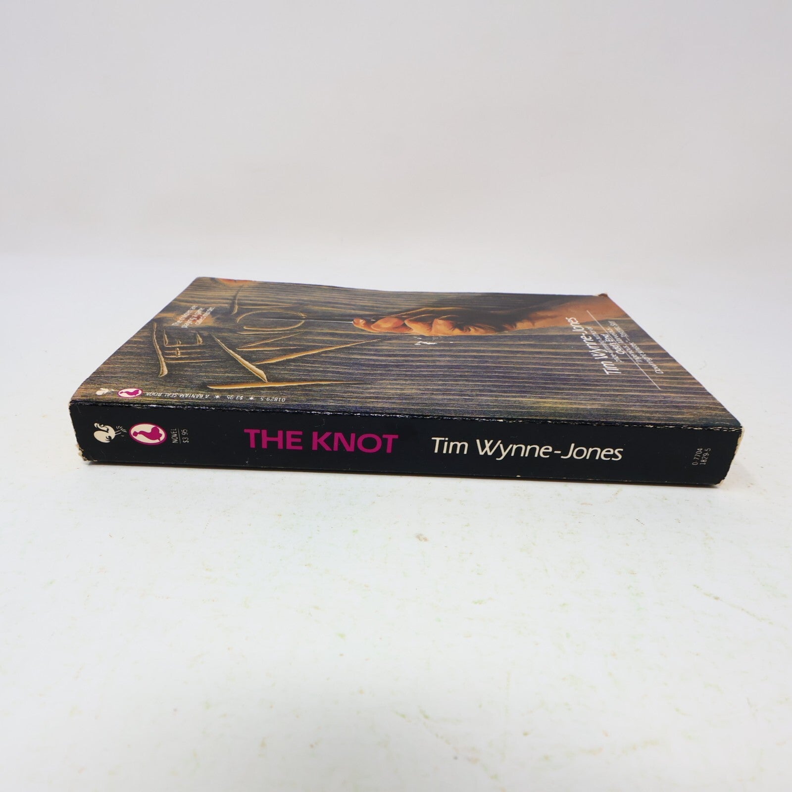 1983 The Knot Tim Wynne-Jones Bantam Mystery Thriller Crime Paperback Book 80s