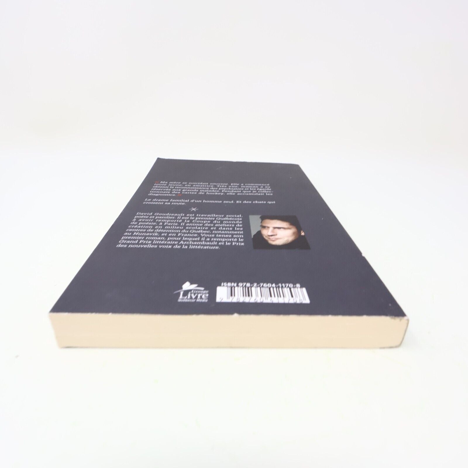 2015 La Bête à sa Mère David Goudreault Stanké Français Paperback Roman Québec