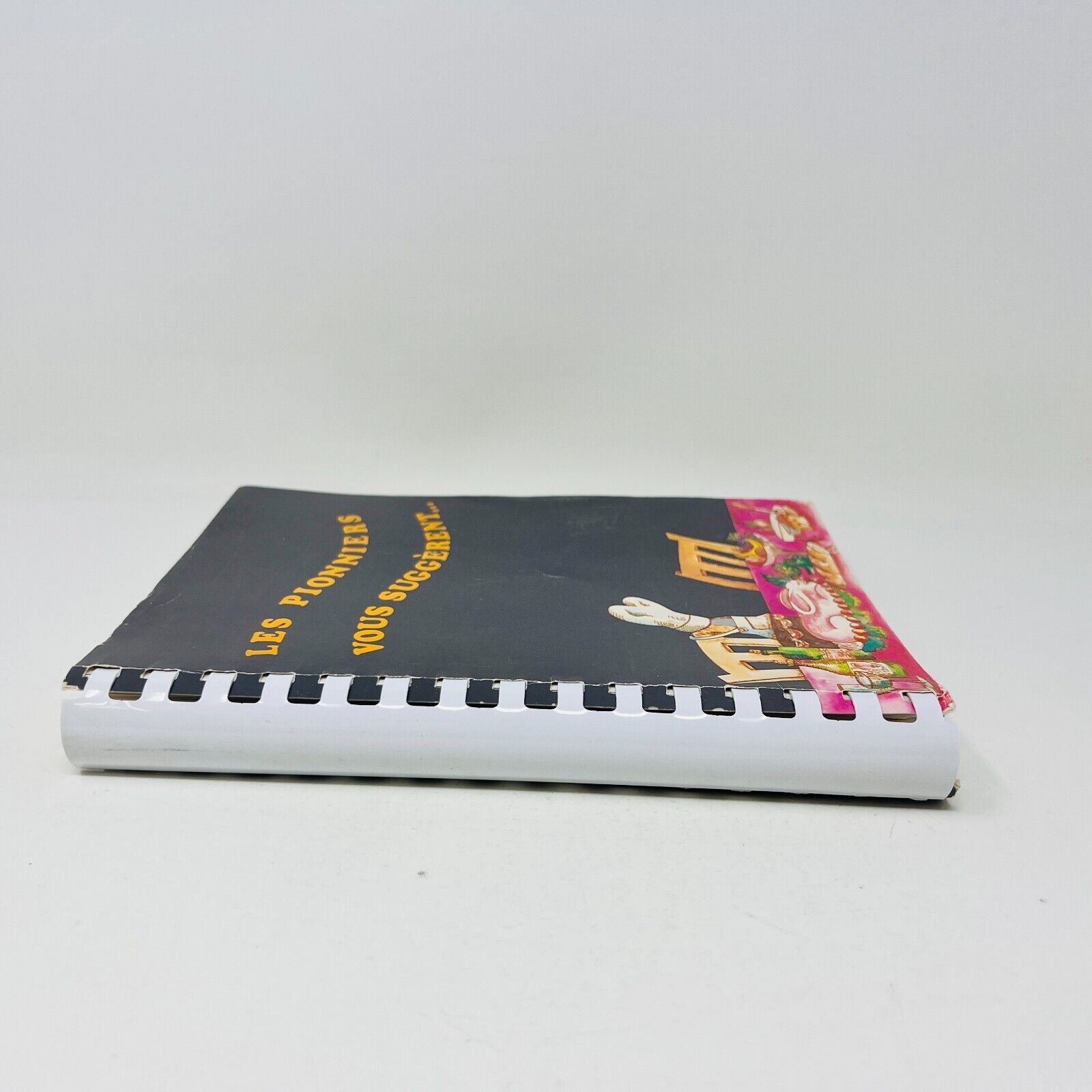 1982 Les Pionniers Vous Suggèrent Livre Recettes Cuisine Téléphone d'Amérique