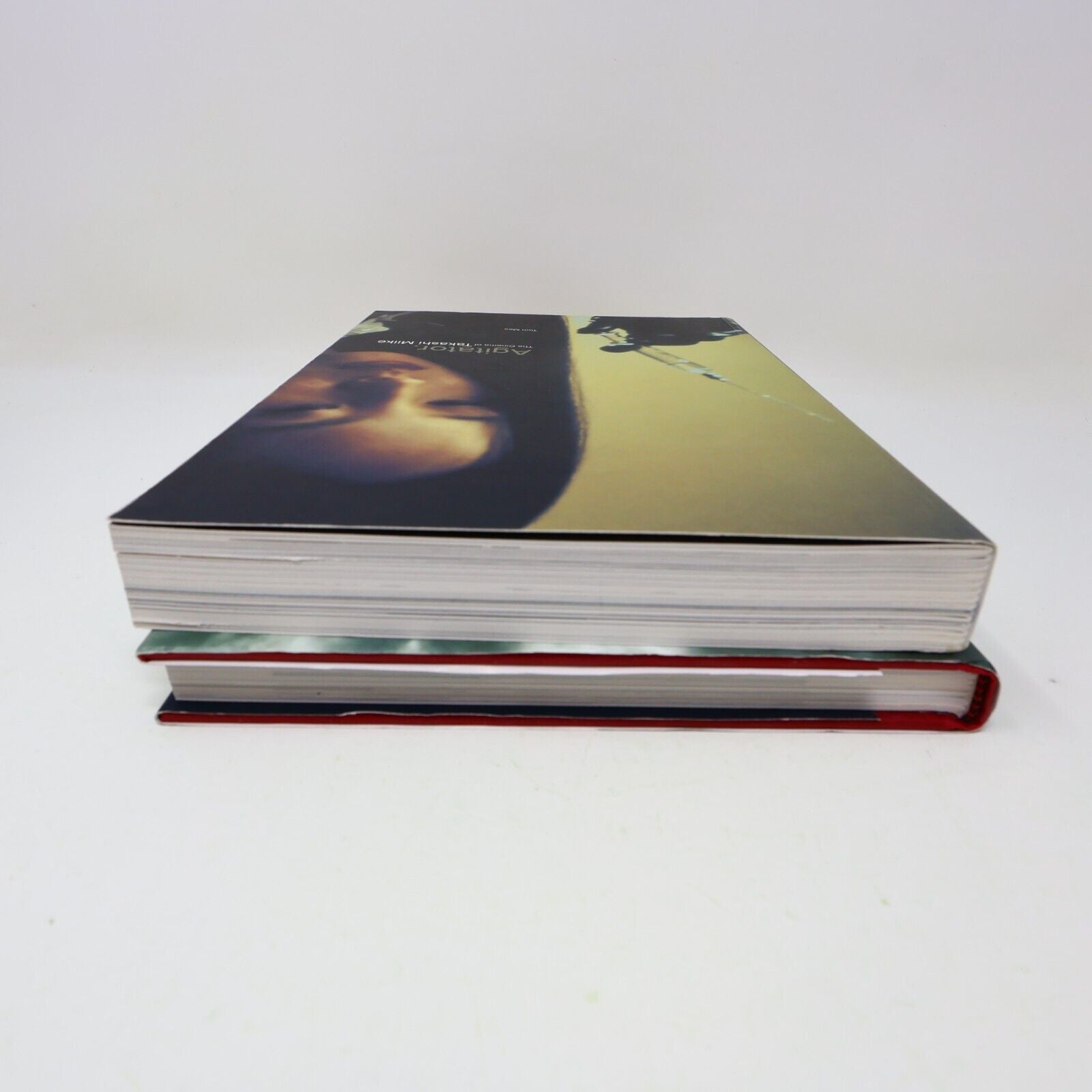 Lot 2 Books Agitator & Re-Agitator Tom Mes Takashi Miike Cinema Movie Fab Press