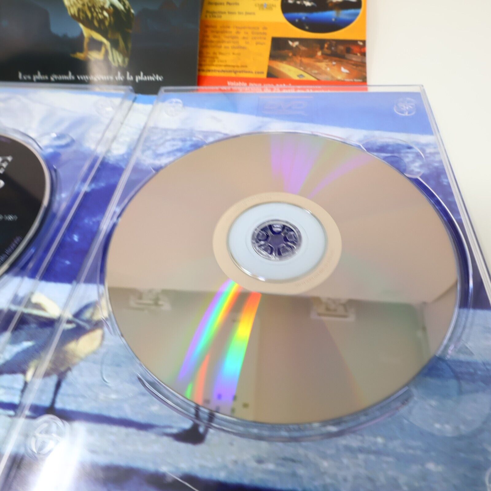 Le Peuple Migrateur DVD Testé Jacque Perrin NTSC 16:9 Français / English 2003