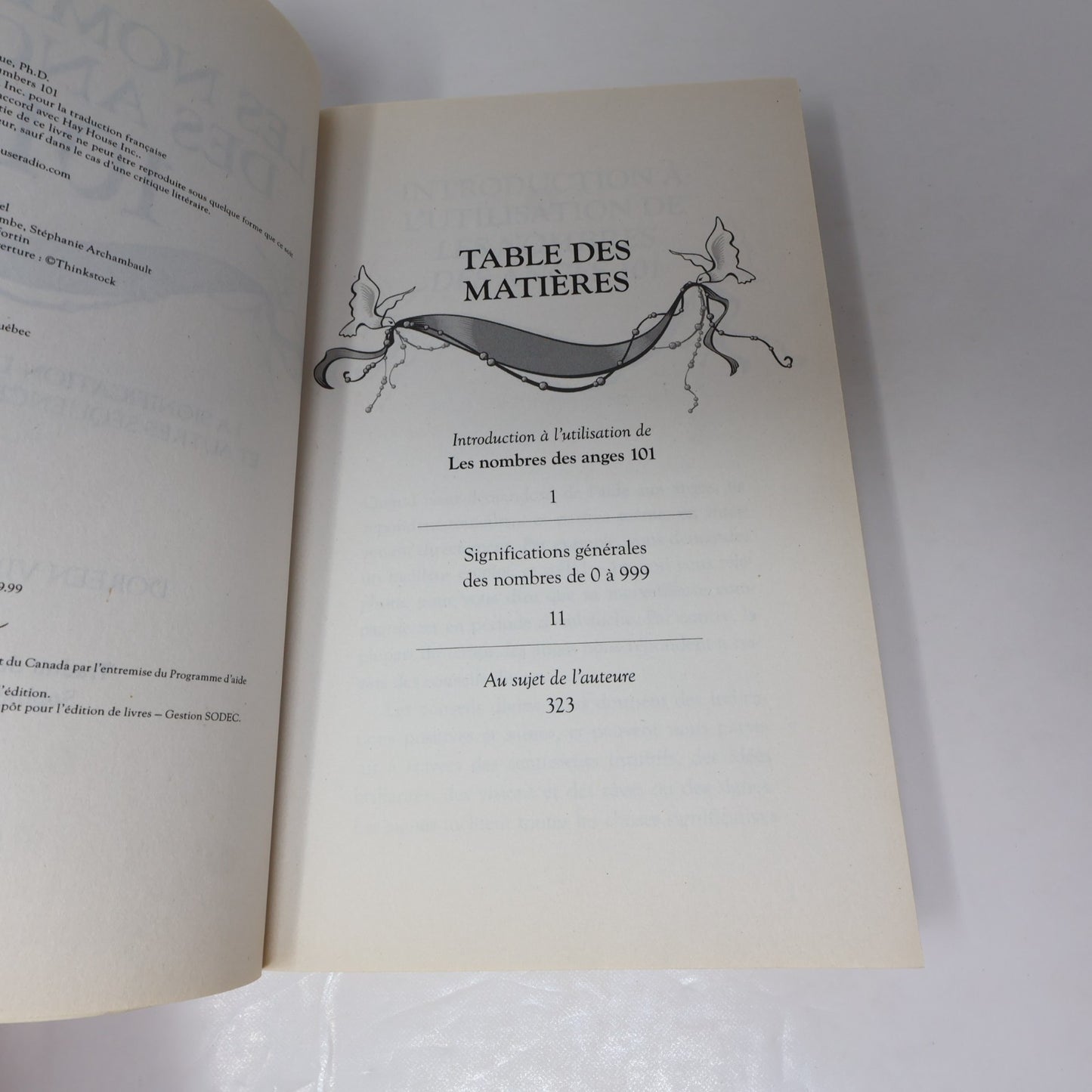 Ésotérisme Spiritualité Anges Lot 8 Livres Français French Virtue/Moore/Warren