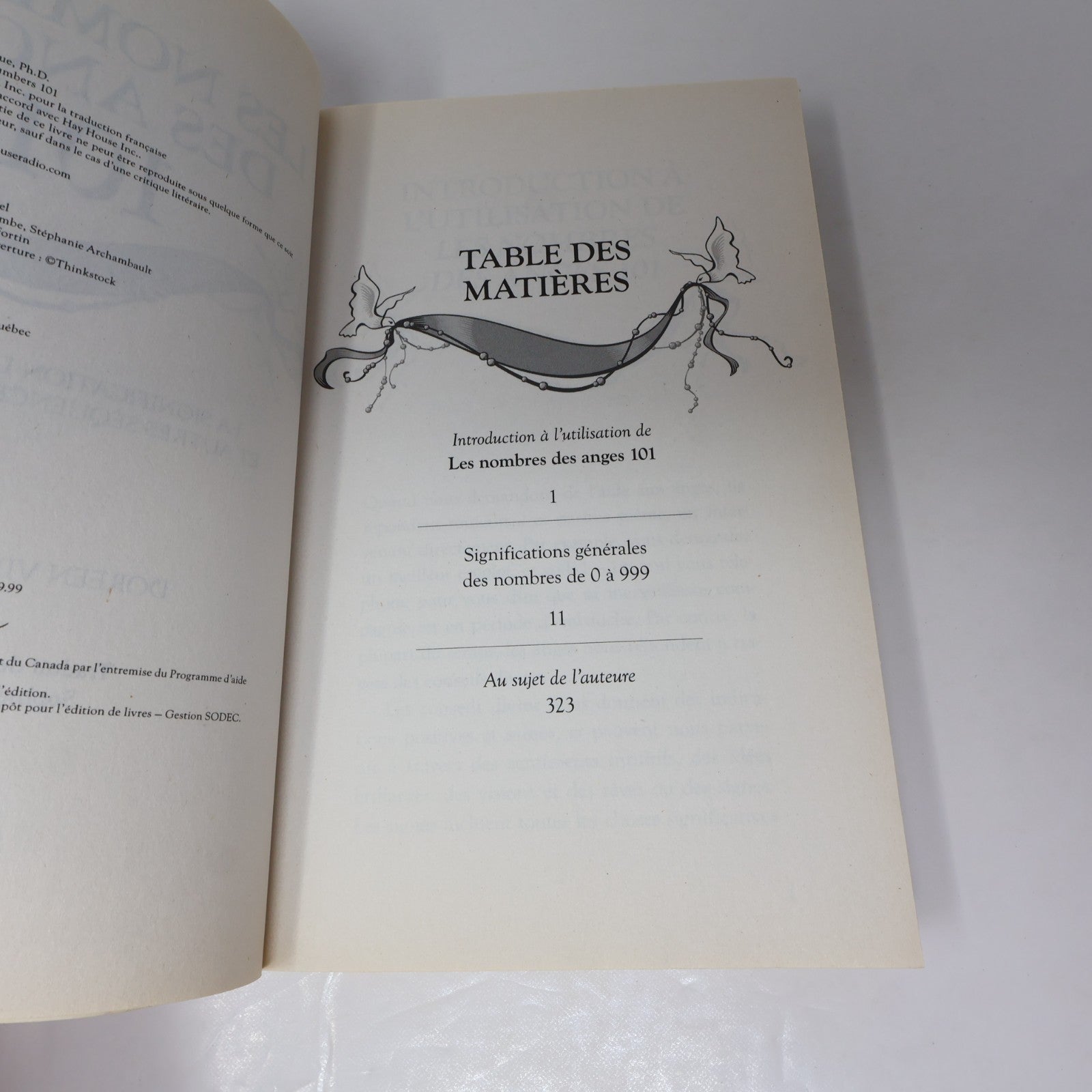 Ésotérisme Spiritualité Anges Lot 8 Livres Français French Virtue/Moore/Warren