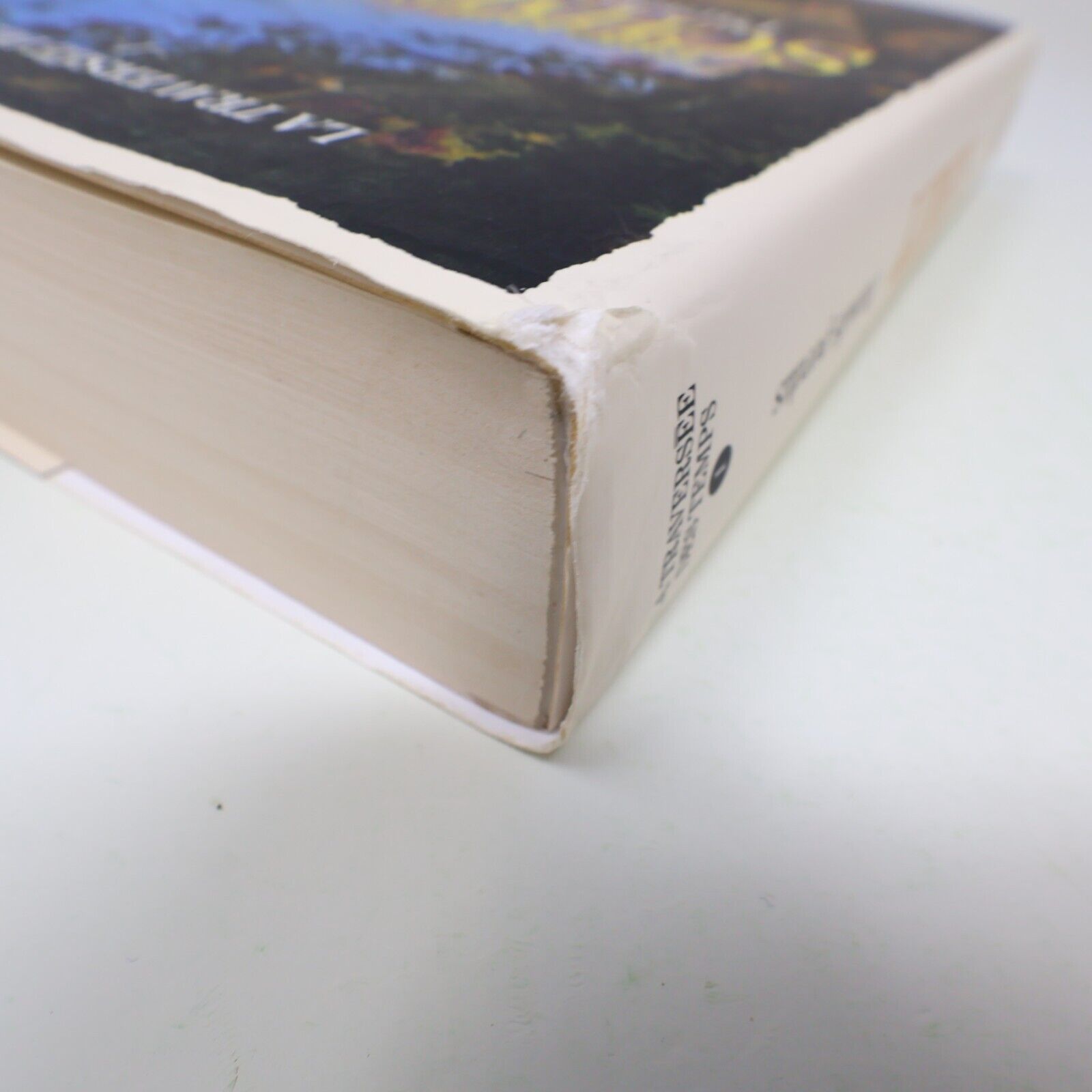 2021 Paradis Perdus Roman Éric-Emmanuel Schmitt La Traversée des Temps #1 Livre