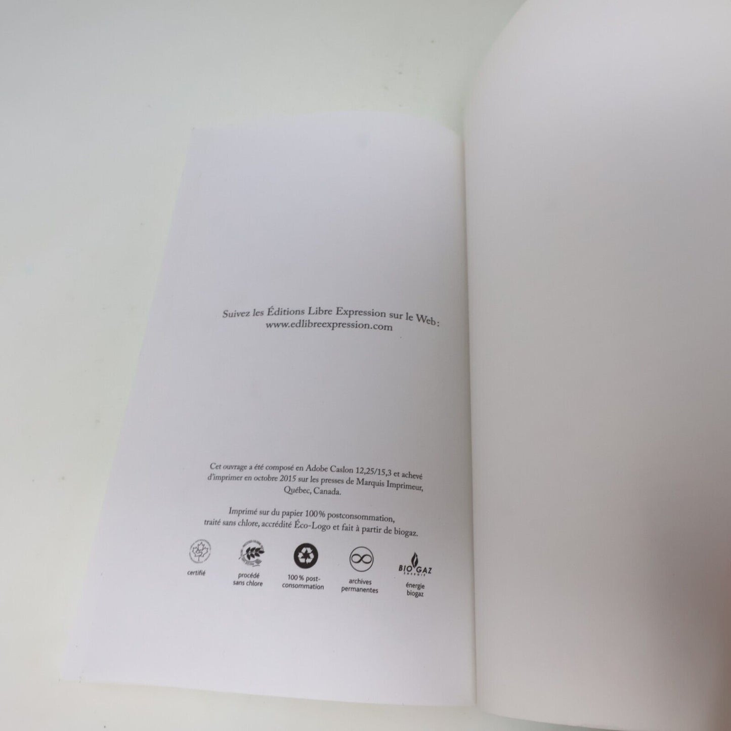2015 Buena Vida de Florence K Biographie Libre Expression Français Livre PB Art