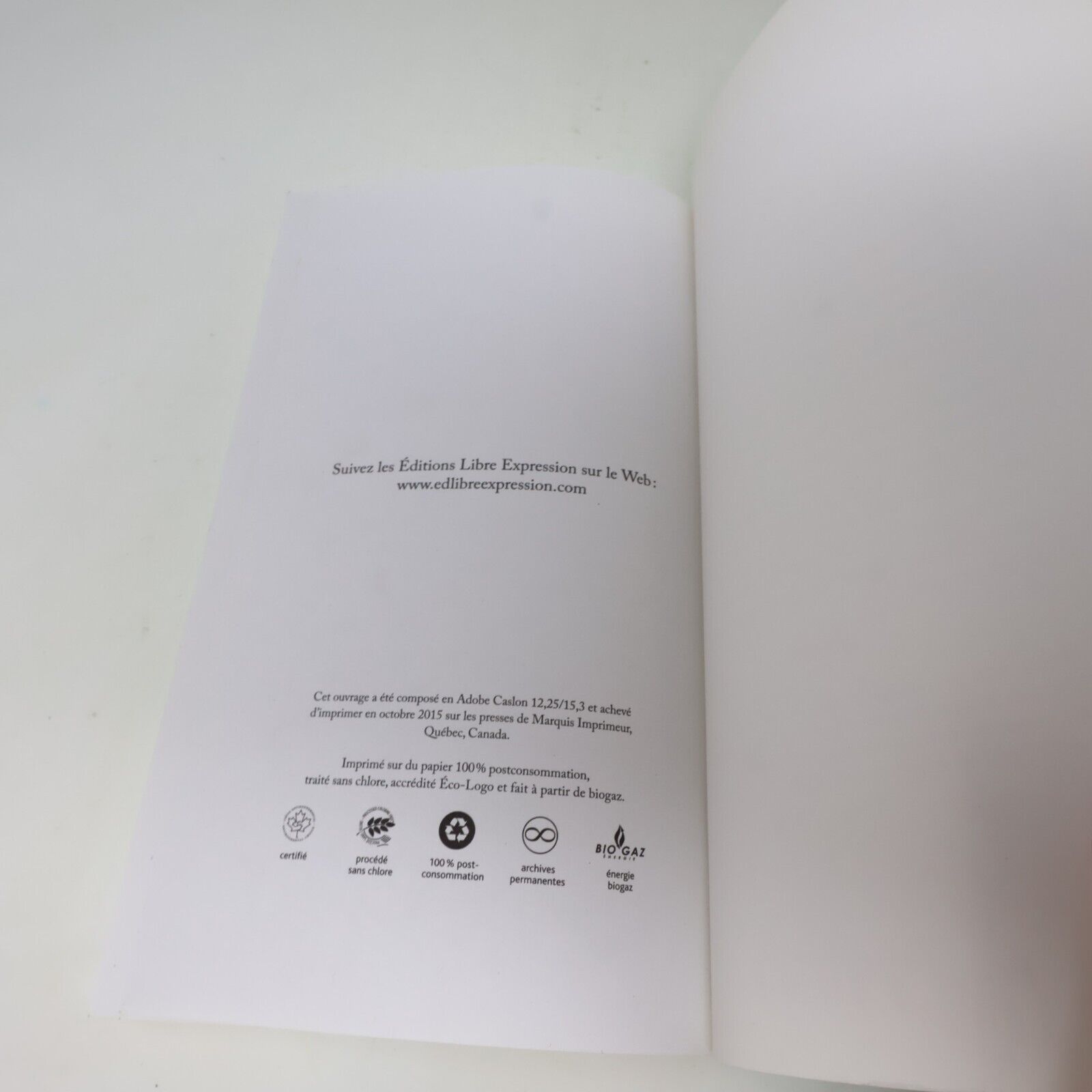 2015 Buena Vida de Florence K Biographie Libre Expression Français Livre PB Art