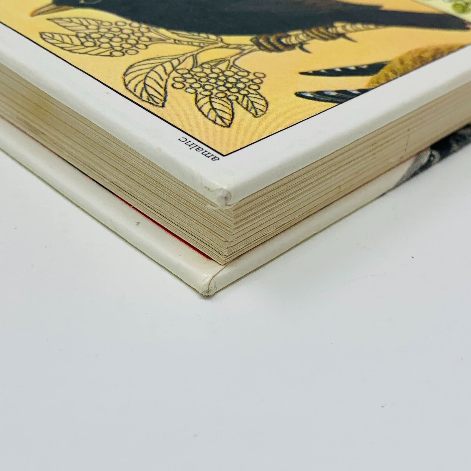 1980 L'Atelier du Jeune Scientifique en Français Family Scientist French HC 80s