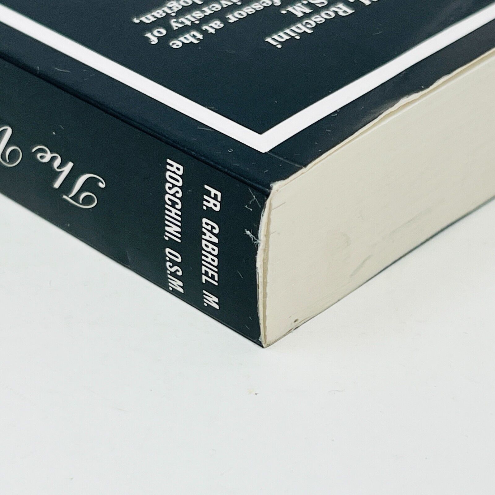 1989 The Virgin Mary in the Writings of Maria Valtorta by Fr Gabriel M. Roschini