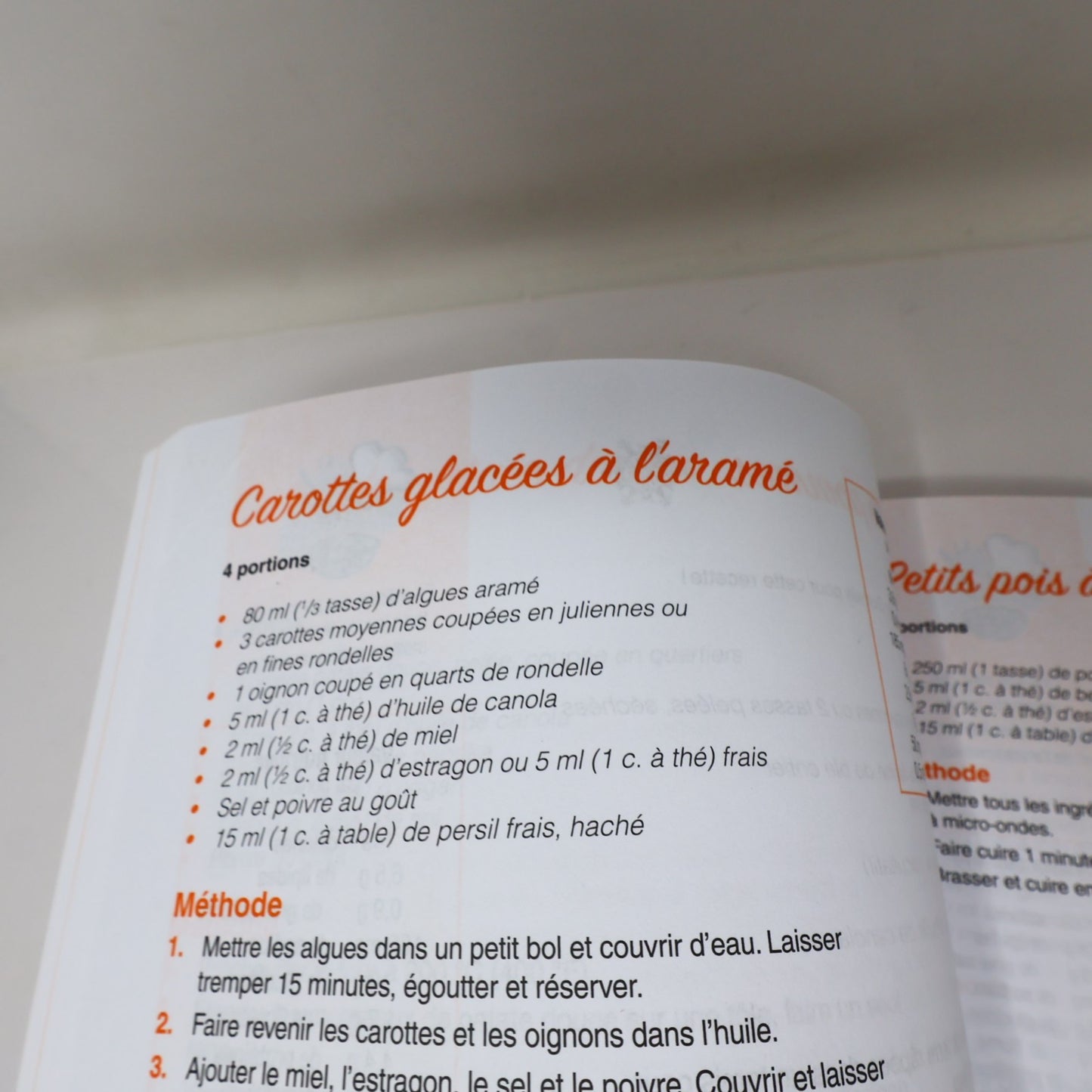 Festins Végétariens au Quotidien Danielle Lamontagne 2017 PB Cuisine Recettes