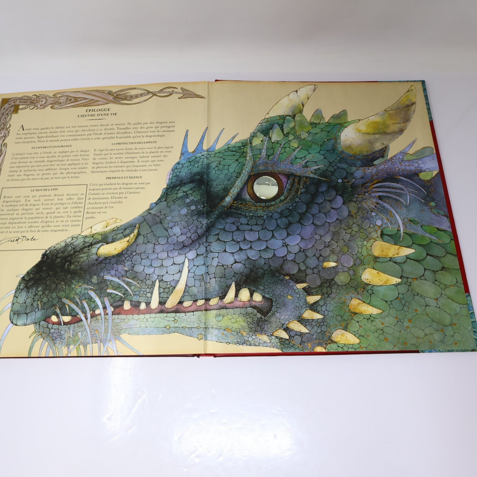Dr. Ernest Drake Dragonologie Encyclopédie des Dragons Dugald A. Steer Milan HC