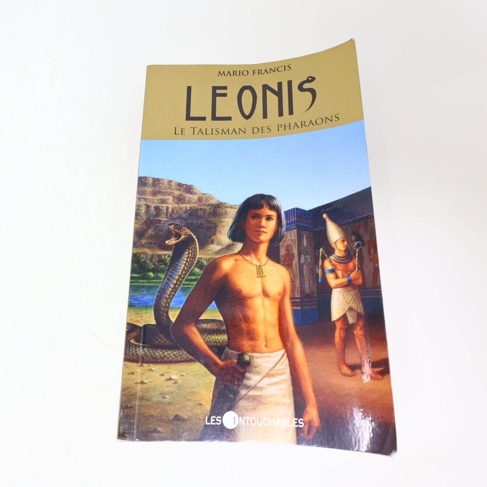 Lot 12 Livres Leonis #1-12 de Mario Francis Les Intouchables Série Complète Book