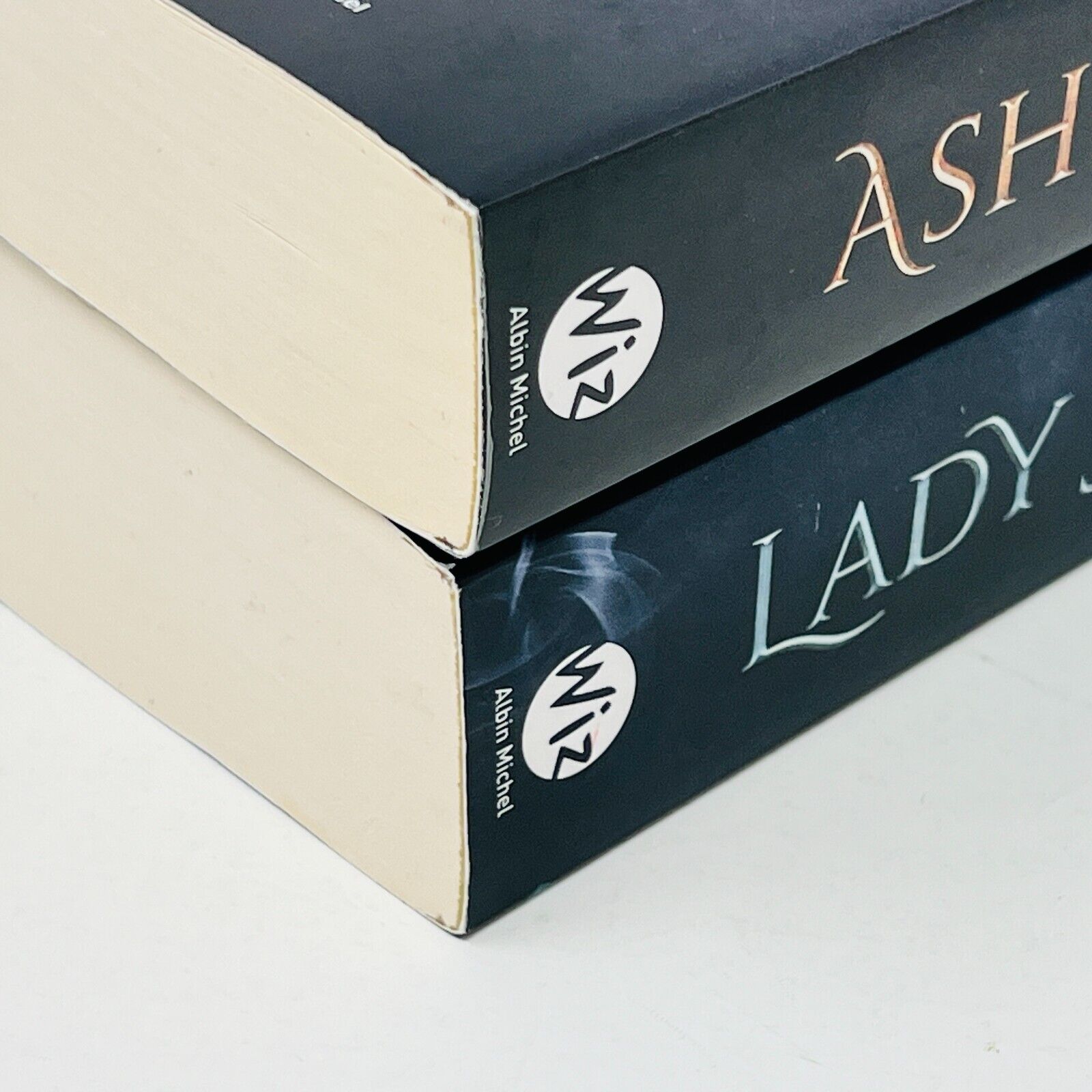 Ash Princess/Lady Smoke en Français/in French de Laura Sebastian Wiz Lot Livres