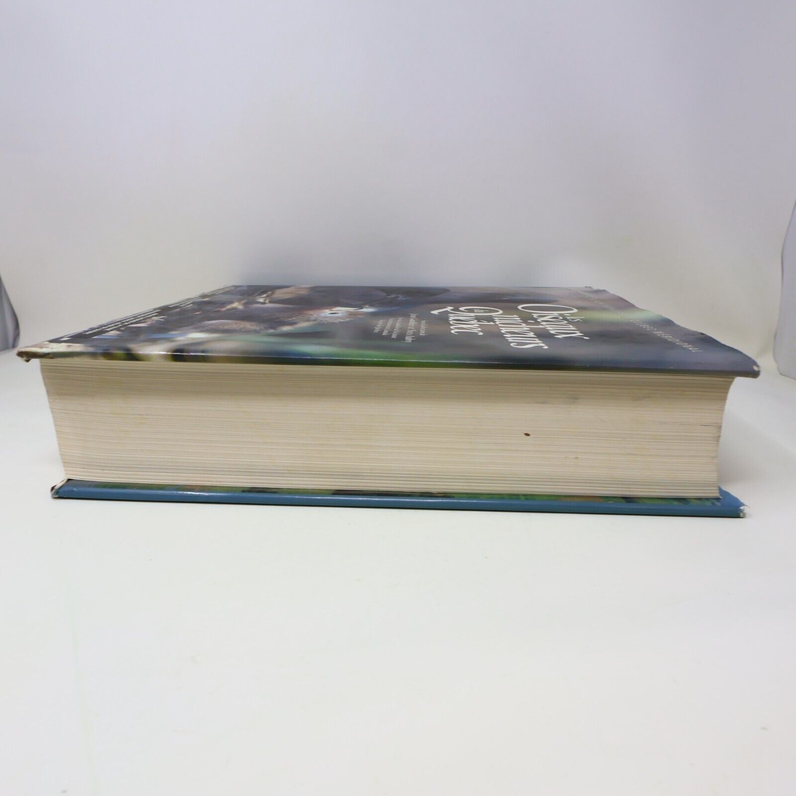 1996 Les Oiseaux Nicheurs du Québec Jean Gauthier Yves Aubry Atlas Nature Livre