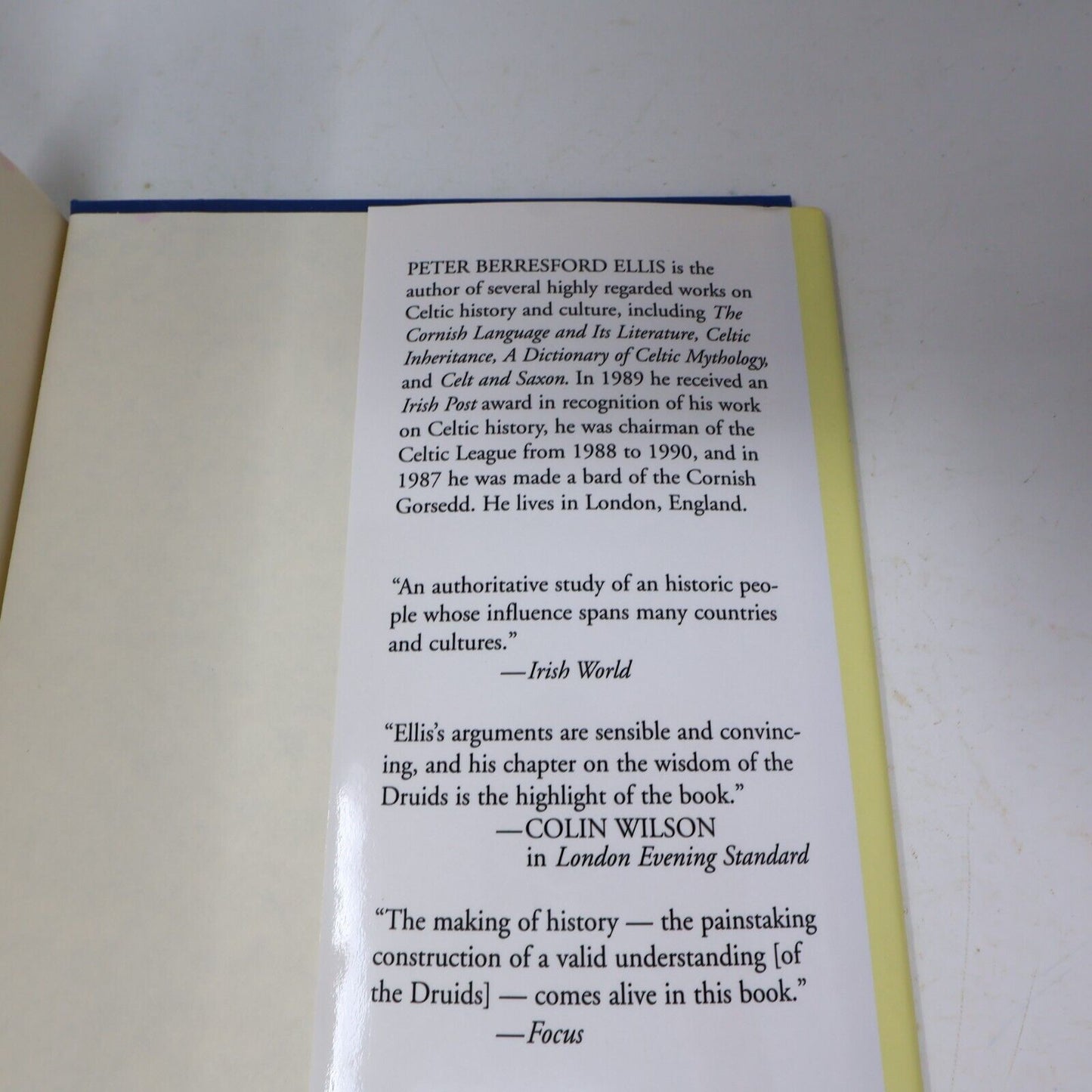 1995 The Druids Peter Berresford Ellis Spirituality Religious History Eerdmans