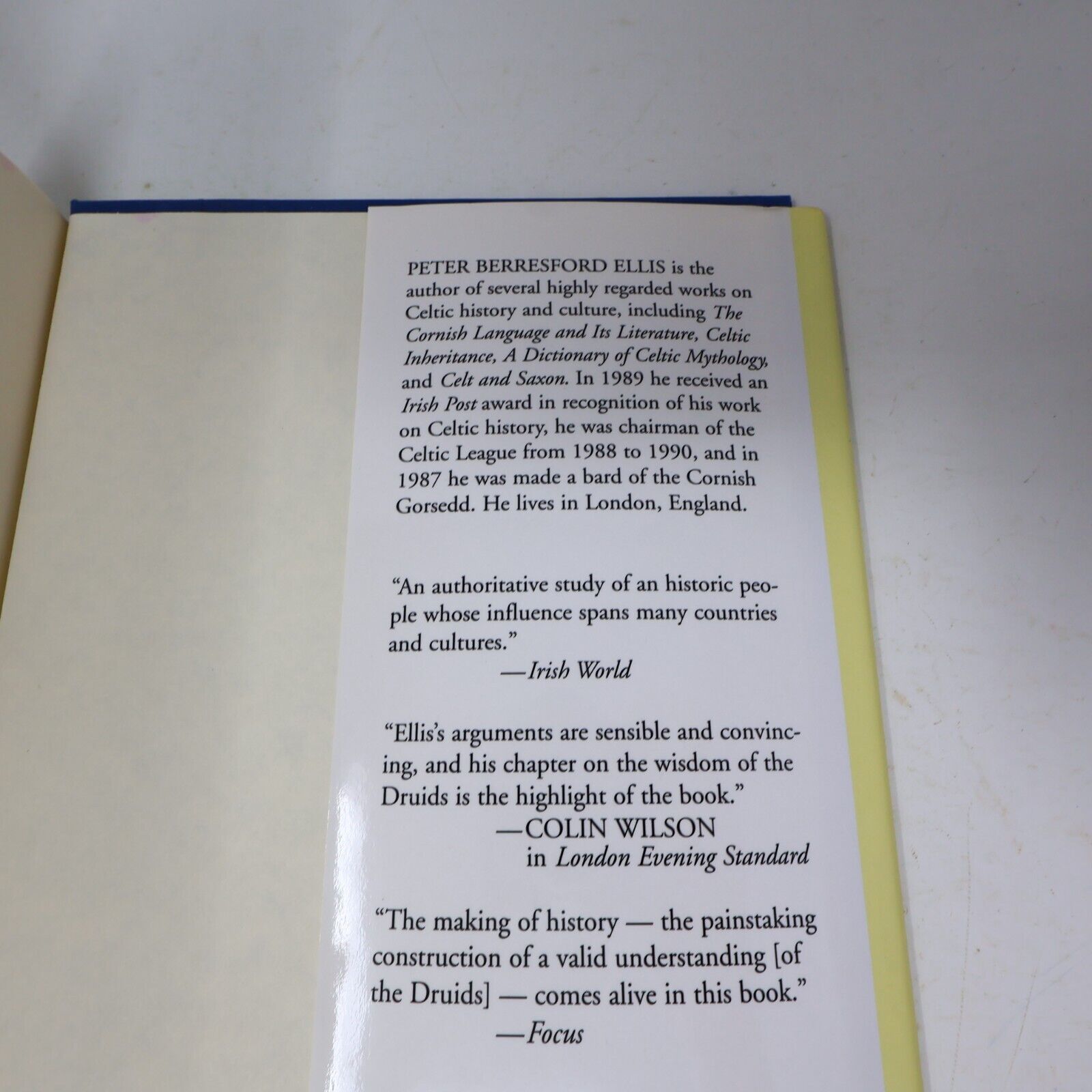1995 The Druids Peter Berresford Ellis Spirituality Religious History Eerdmans
