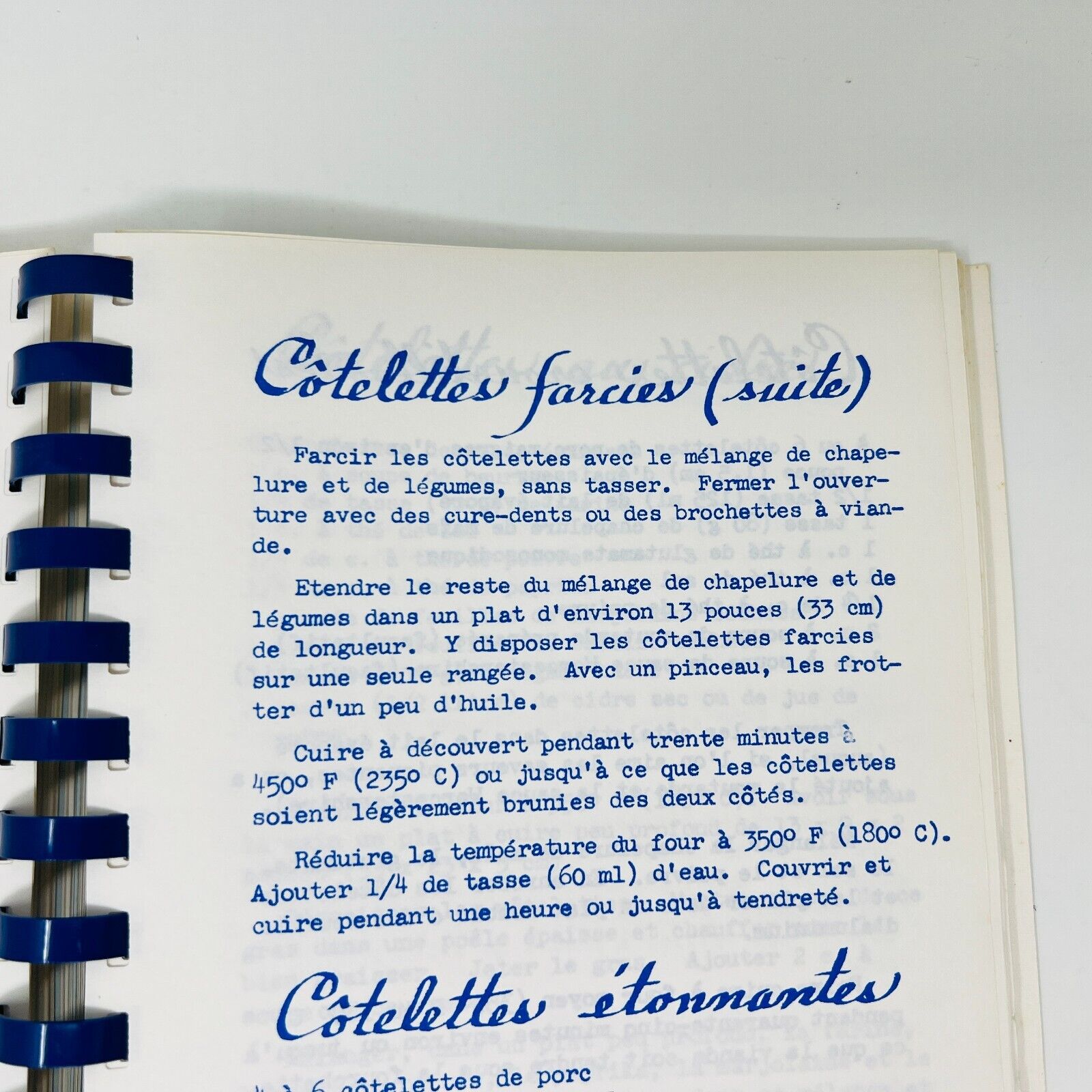 1984 Recettes d'Ici et d'Ailleurs Cuisine C. Garnier-Miville-Deschênes Gaspésie