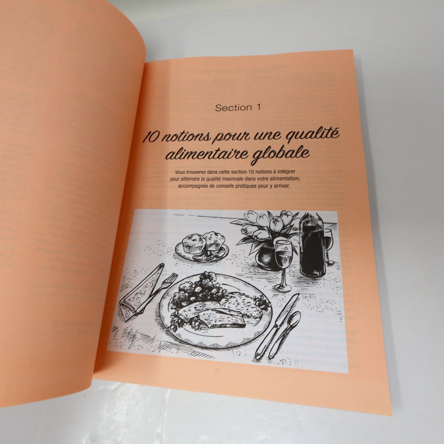 Festins Végétariens au Quotidien Danielle Lamontagne 2017 PB Cuisine Recettes
